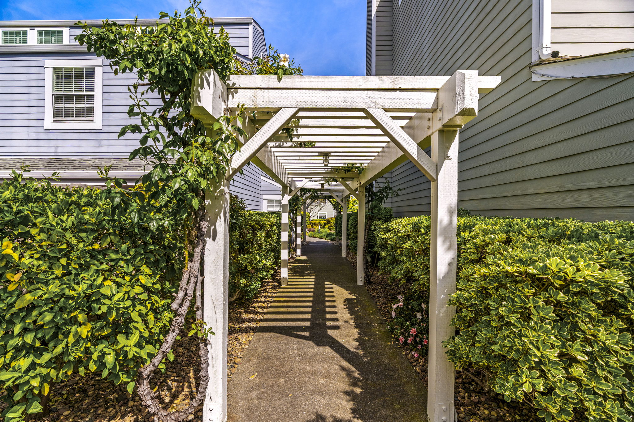  6600 Yount St. #21 Yountville - 物件實景