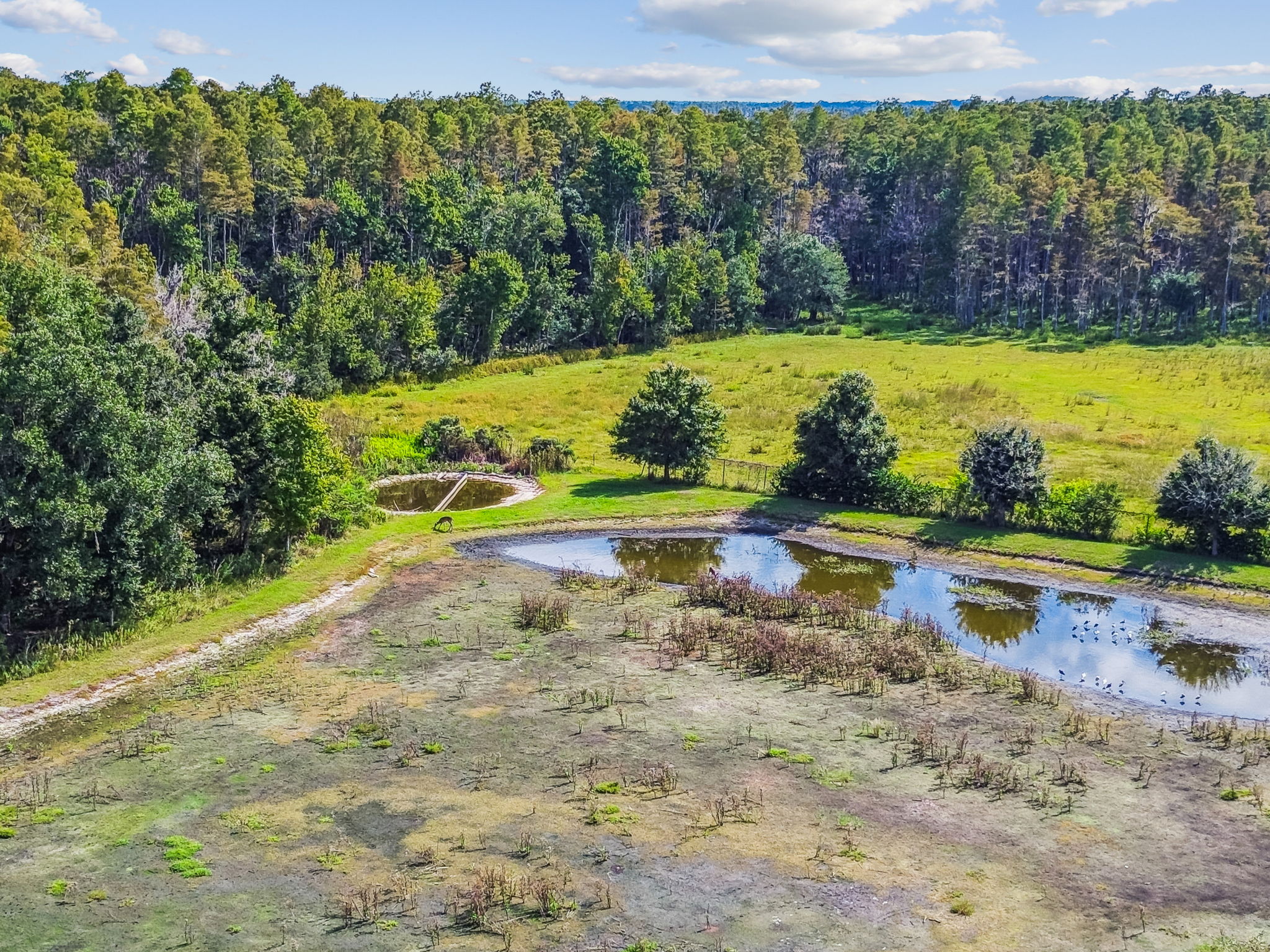New Port Richey, Florida, 34655, United States, 6 Bedrooms Bedrooms, ,4 BathroomsBathrooms,Residential,For Sale,1980137