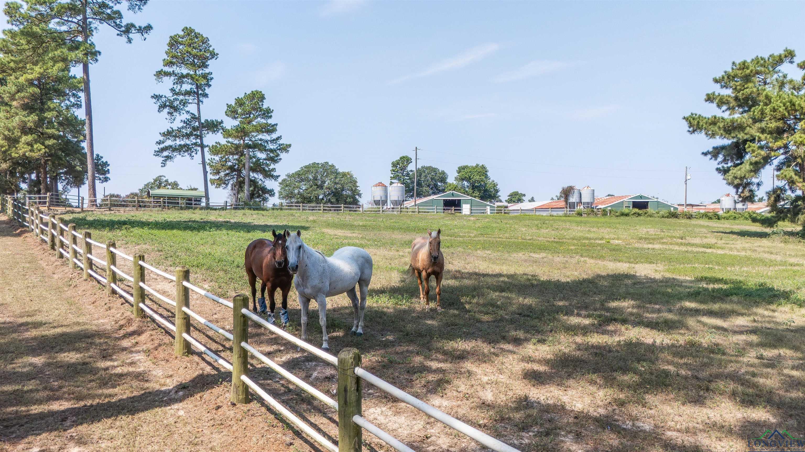 Jefferson, Texas, 75657, United States, 3 Bedrooms Bedrooms, ,2 BathroomsBathrooms,Residential,For Sale,1983011