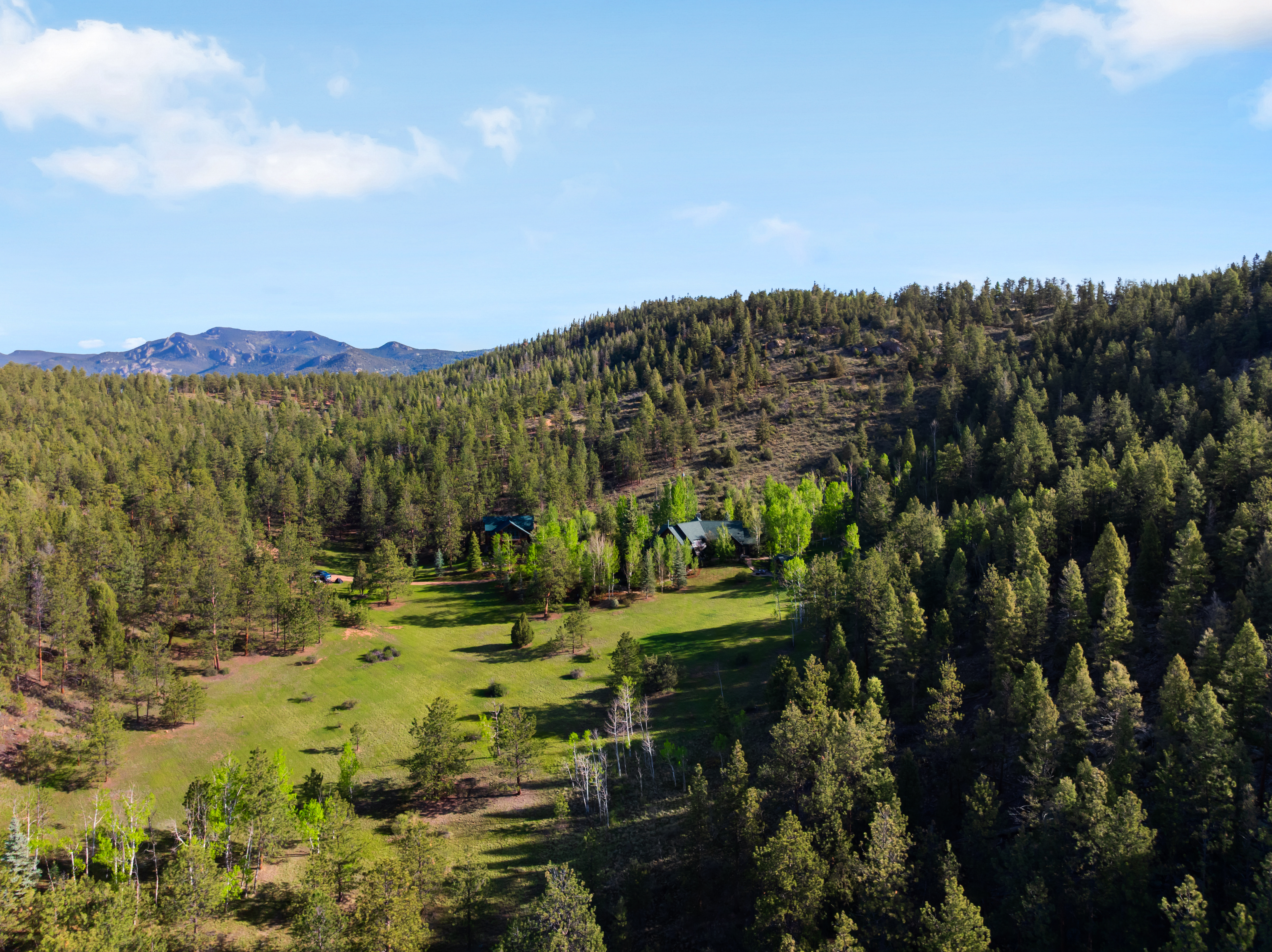  .275 acres of rolling grass, towering trees, & mountain views in every direction - 物件實景