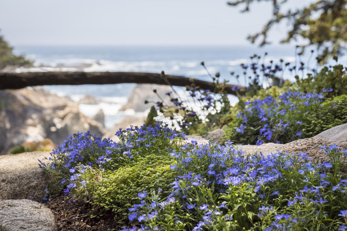 Carmel Highlands, California, 93923, United States, 13 Bedrooms Bedrooms, ,17 BathroomsBathrooms,Residential,For Sale,1917407