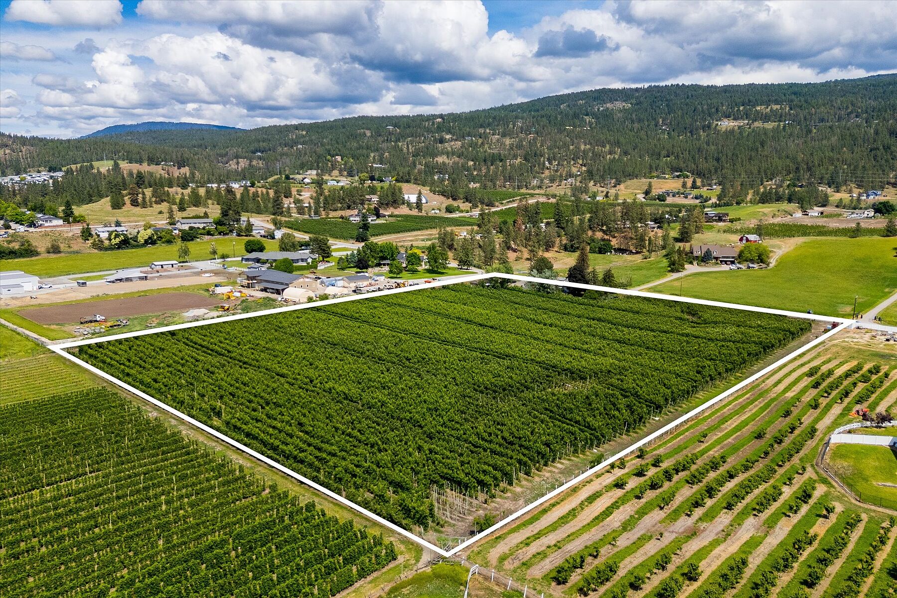  10 Acre Orchard - 物件實景