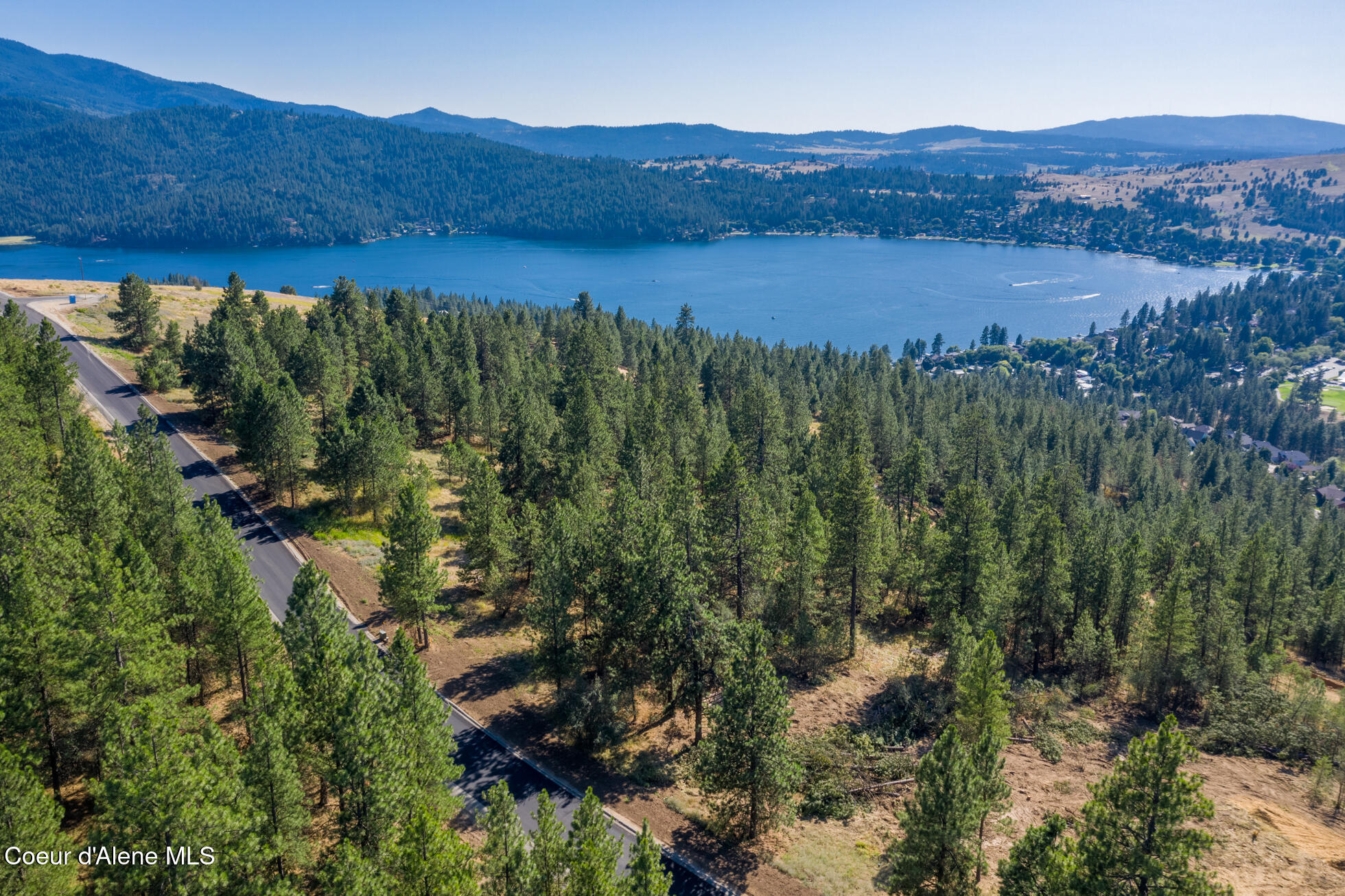 Liberty Lake, Washington, 99019, United States, ,Land,For Sale,1974719