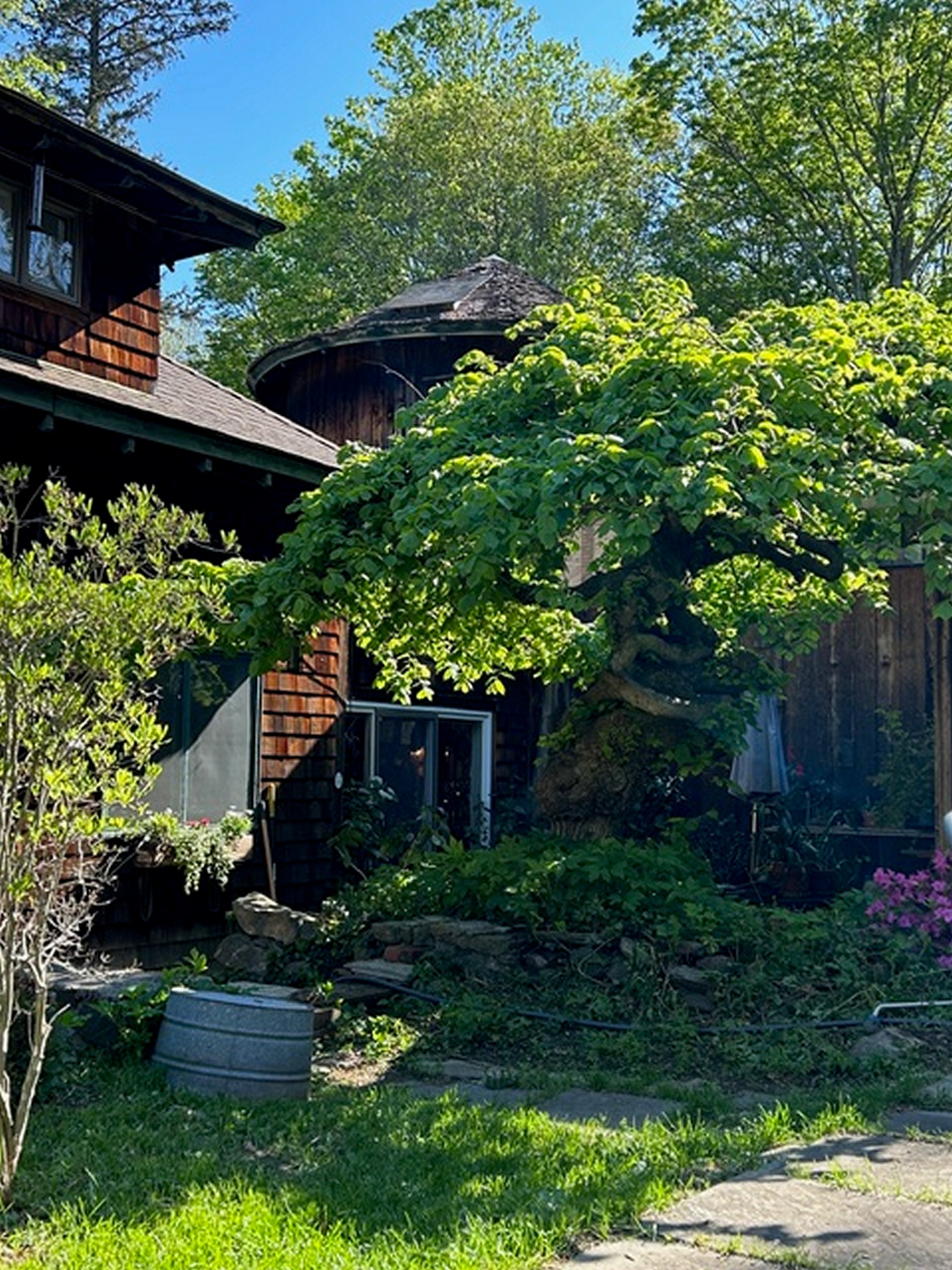  49 South Street - 物件實景