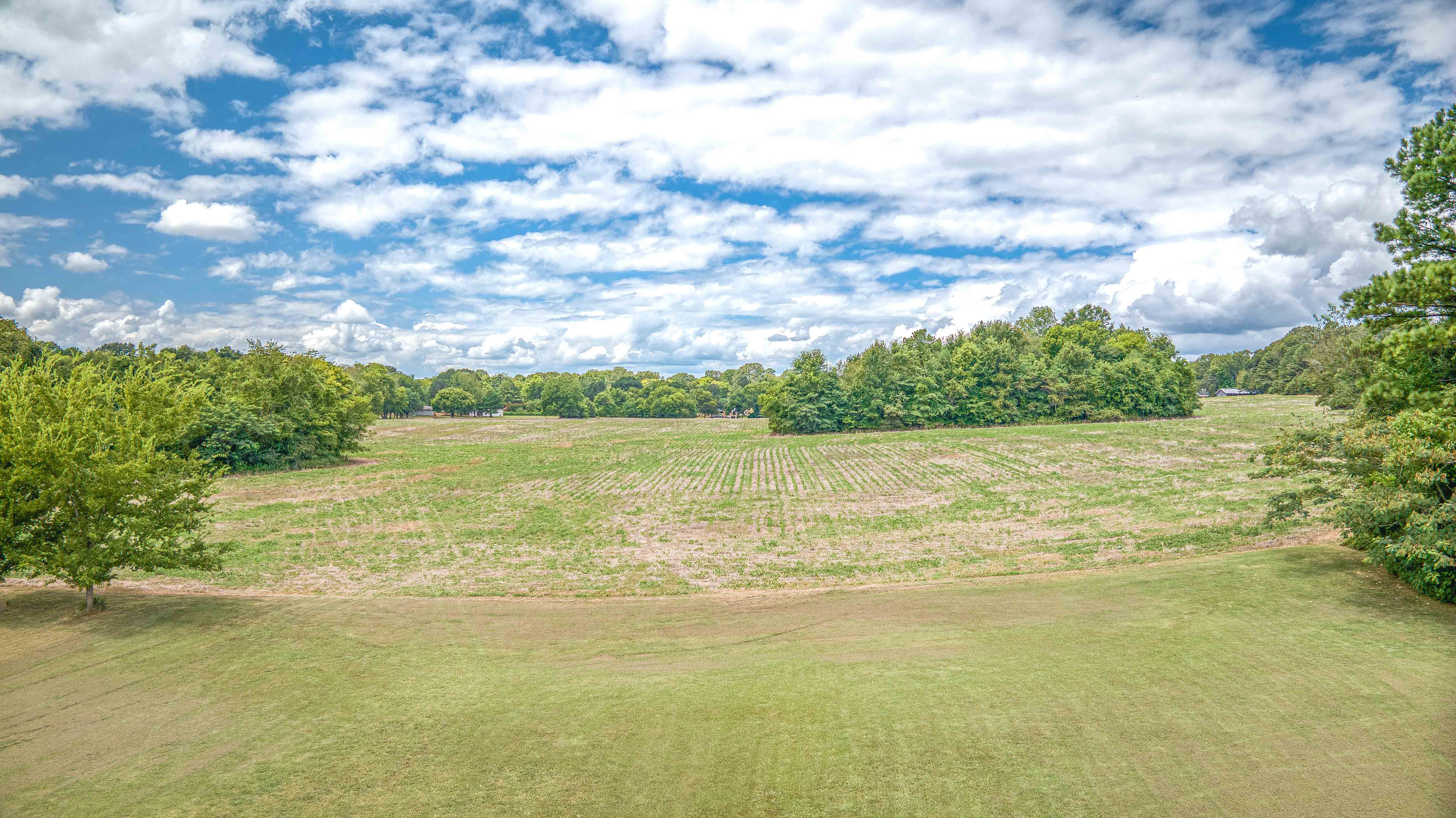 Tuscumbia, Alabama, 35674, United States, ,Land,For Sale,1976669