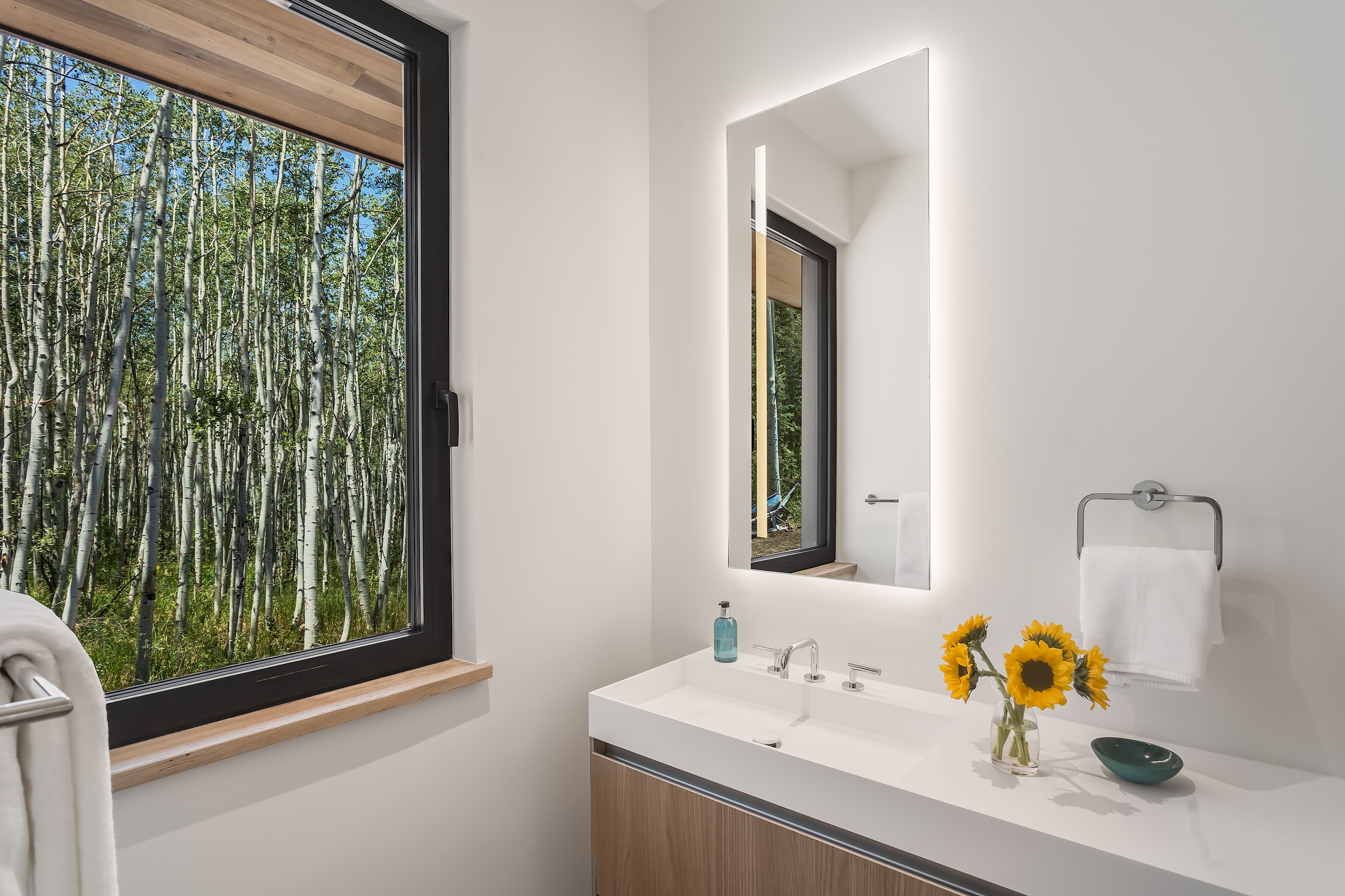  231 Maple Ridge Lane, Snowmass Village, CO 81615 - 物件實景