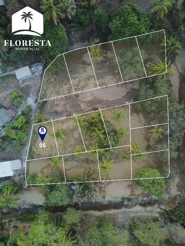 C PORFIRIO DIAZ, San Pedro Mixtepec -Dto. 22 -, Oaxaca, 71984, Mexico, 1 Bedroom Bedrooms, ,Residential,For Sale,C PORFIRIO DIAZ,1609826