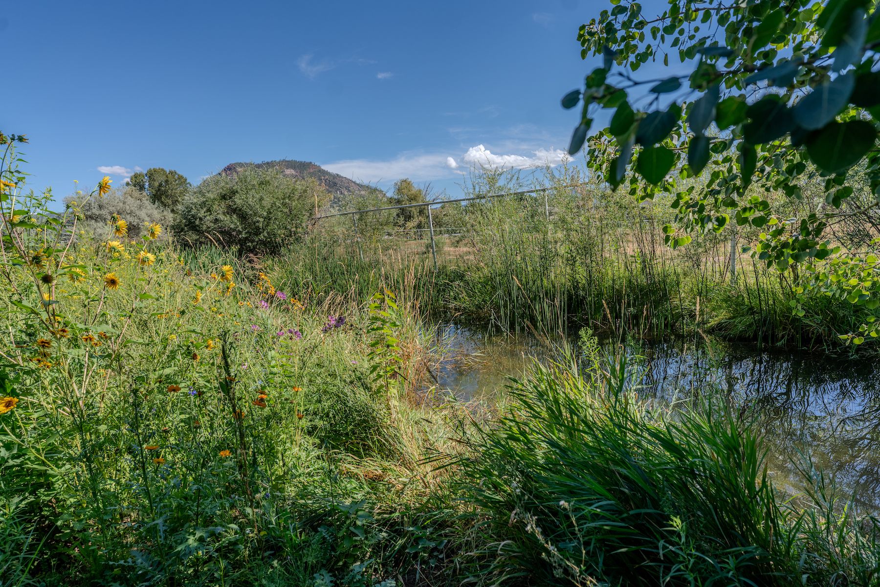  30 Championship Circle , Durango, CO 81301 - 物件實景