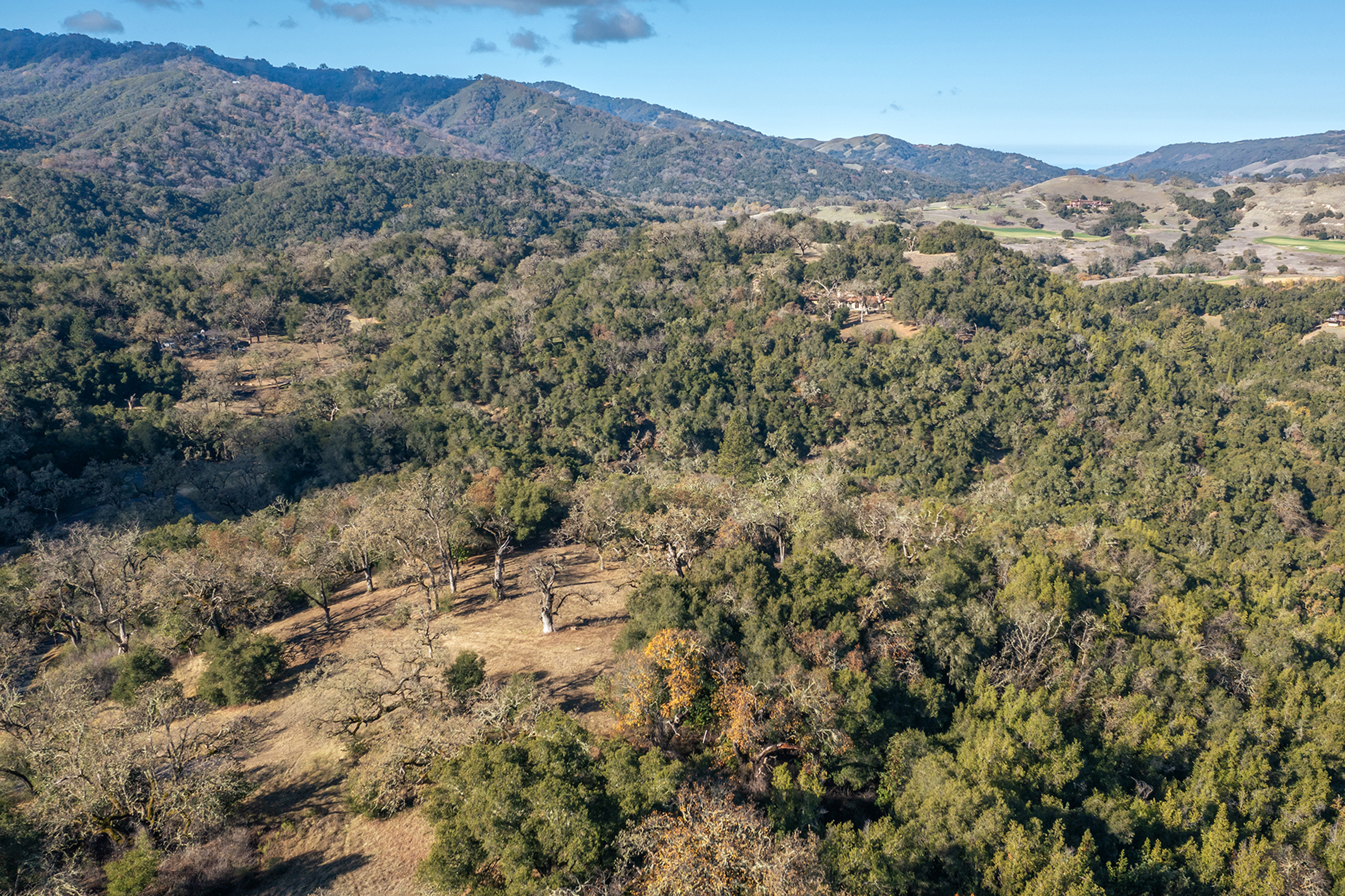  37 Arroyo Sequoia (Lot 113) - 物件實景