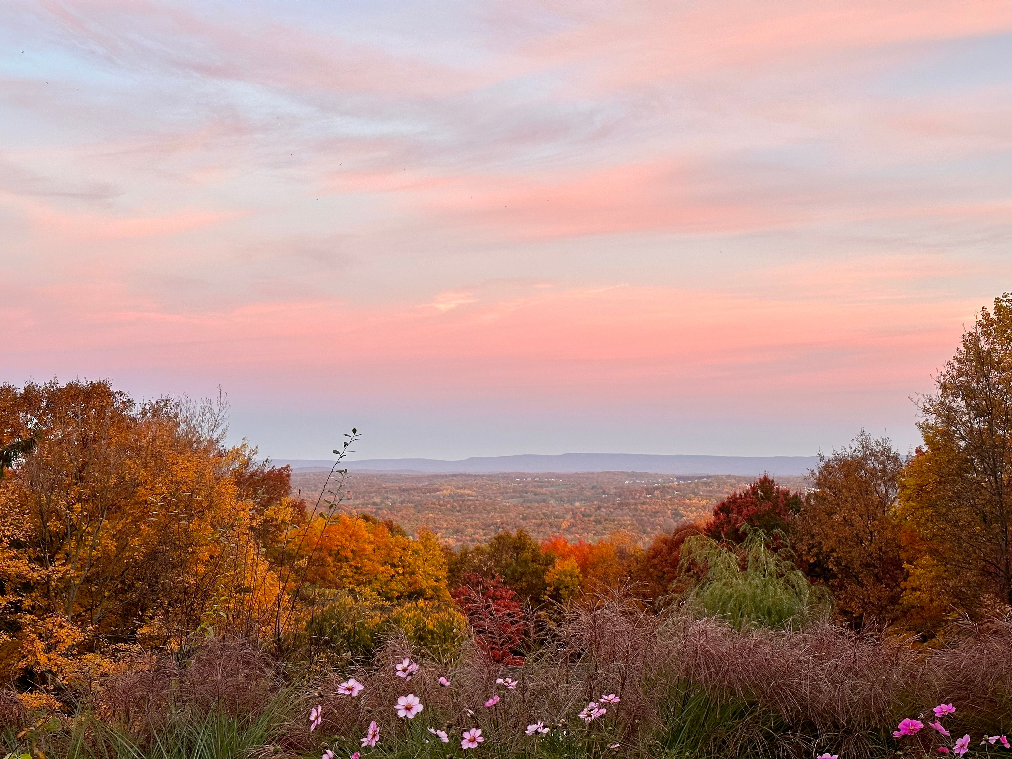  8 Horizon Road, Cornwall, NY 12518 - 物件實景