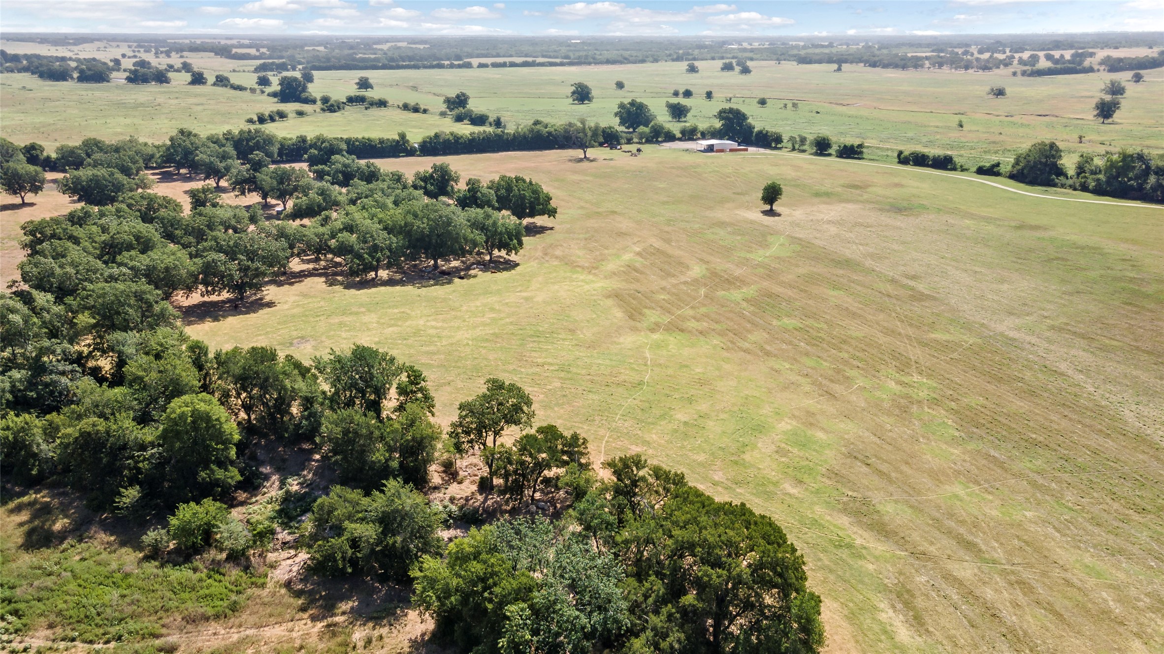 Reagan, Texas, 76680, United States, ,Land,For Sale,1986271