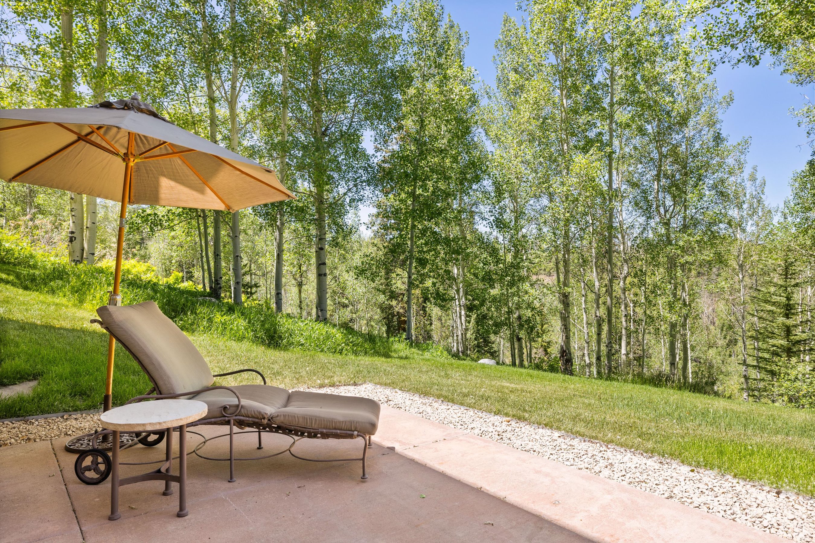  142 Aspen Way, Snowmass Village, CO, 81615 - 物件實景