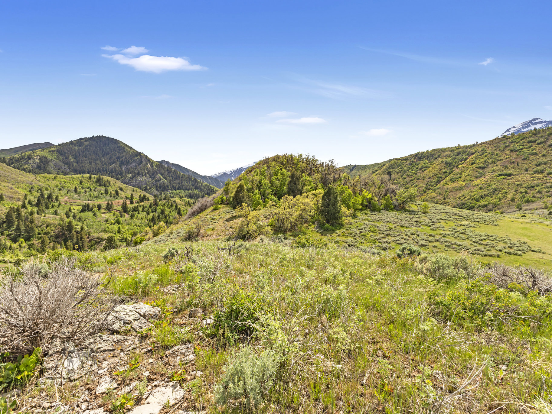  5.4 Acres In Provo Canyon With Easement To River - 物件實景