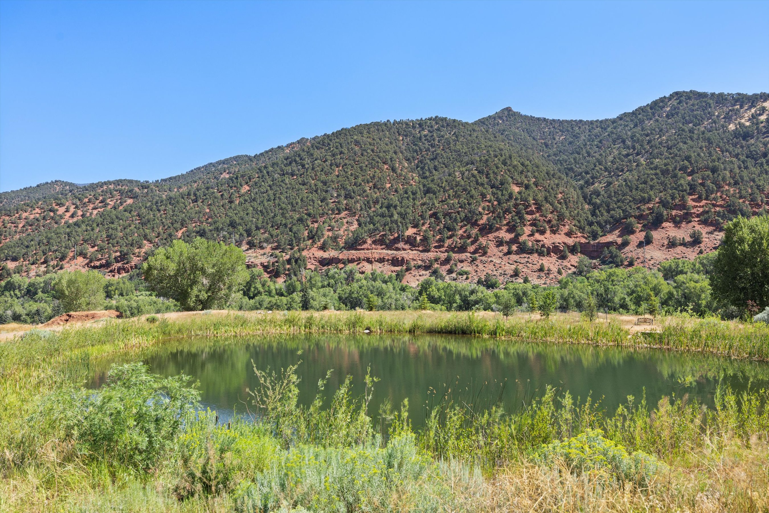  Incredible Equestrian Property 20 Minutes From Aspen - 物件實景