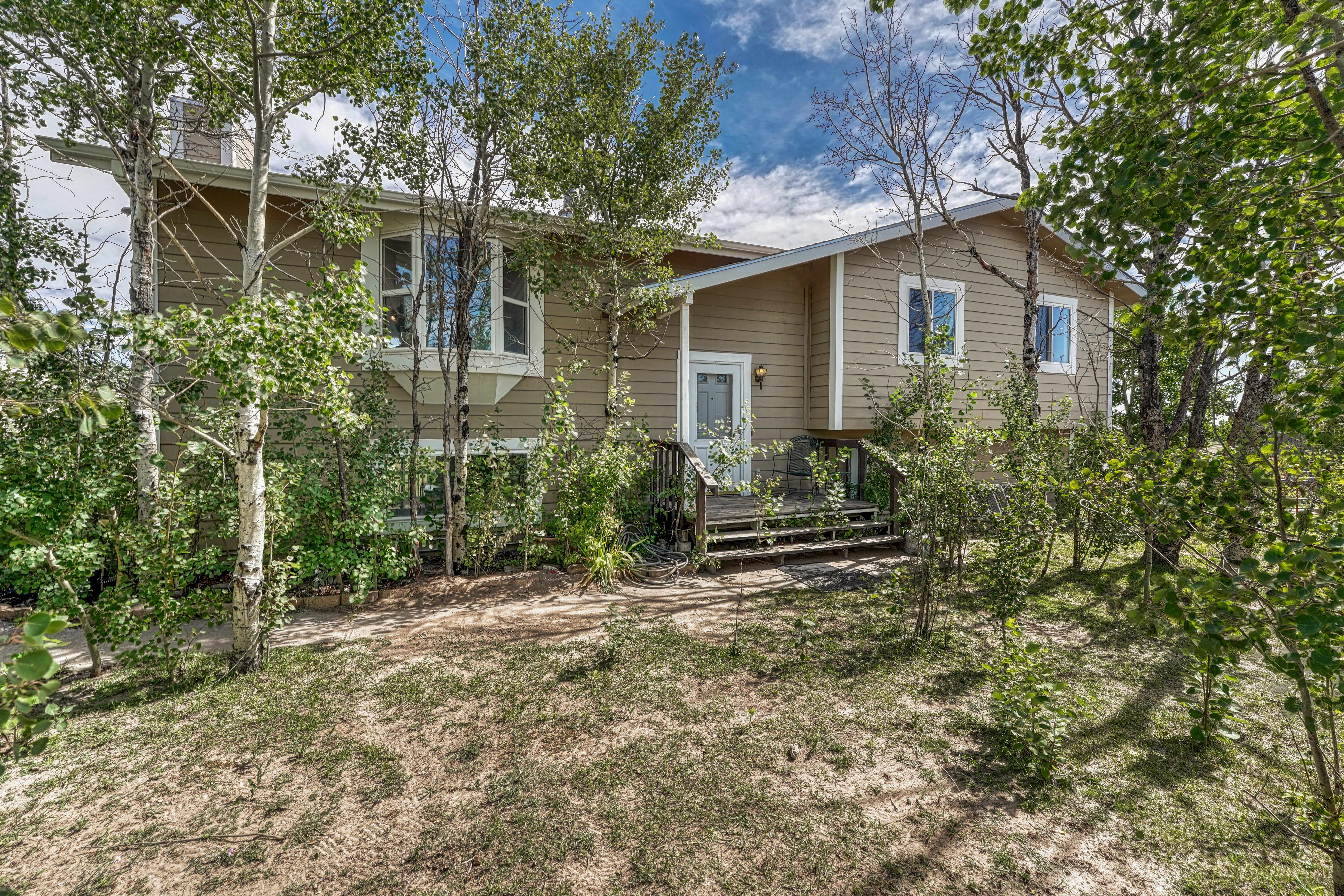  Amazing equestrian property in Black Forest on almost 6 acres - 物件實景