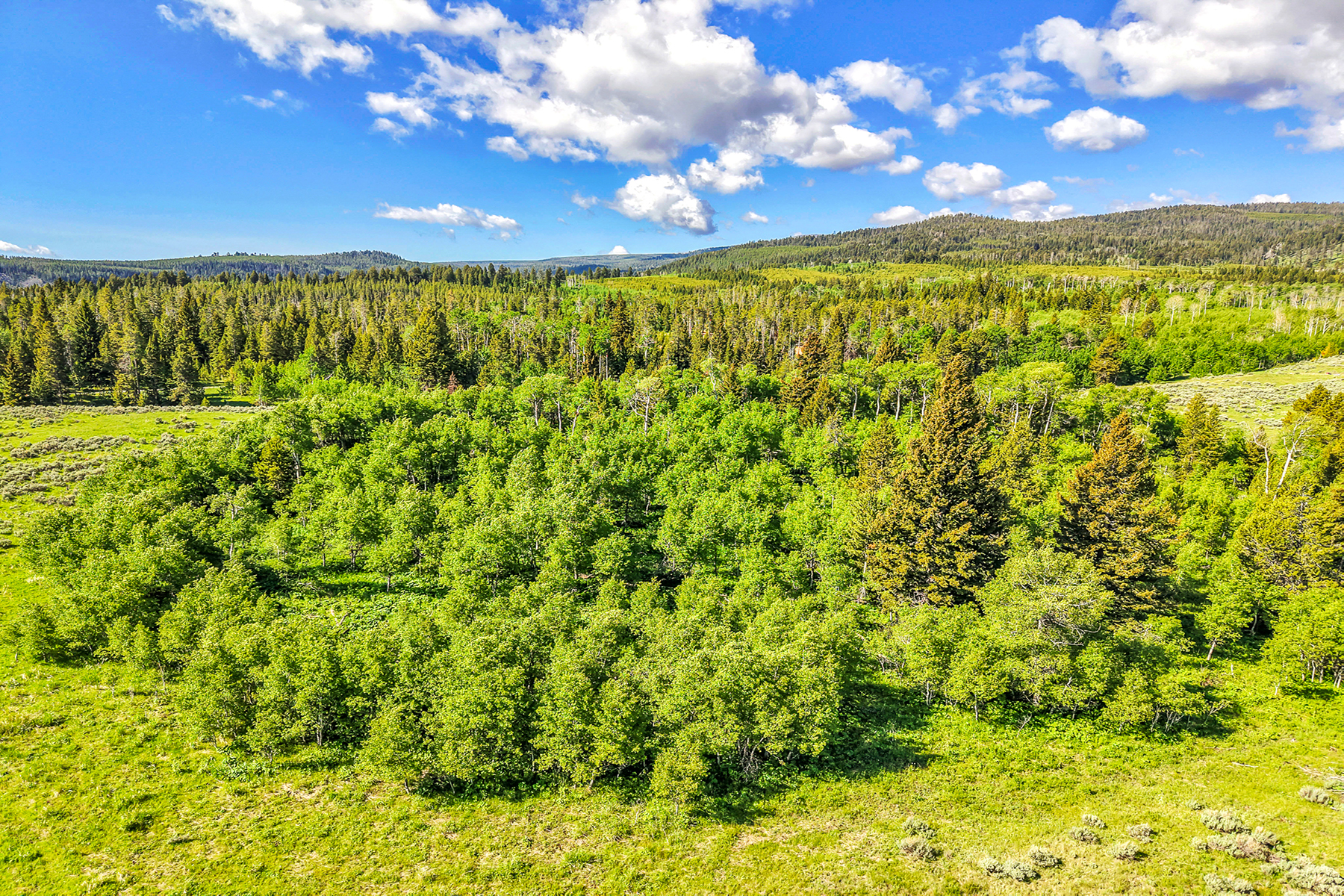  Lot 33A Elk Ridge Road - 物件實景