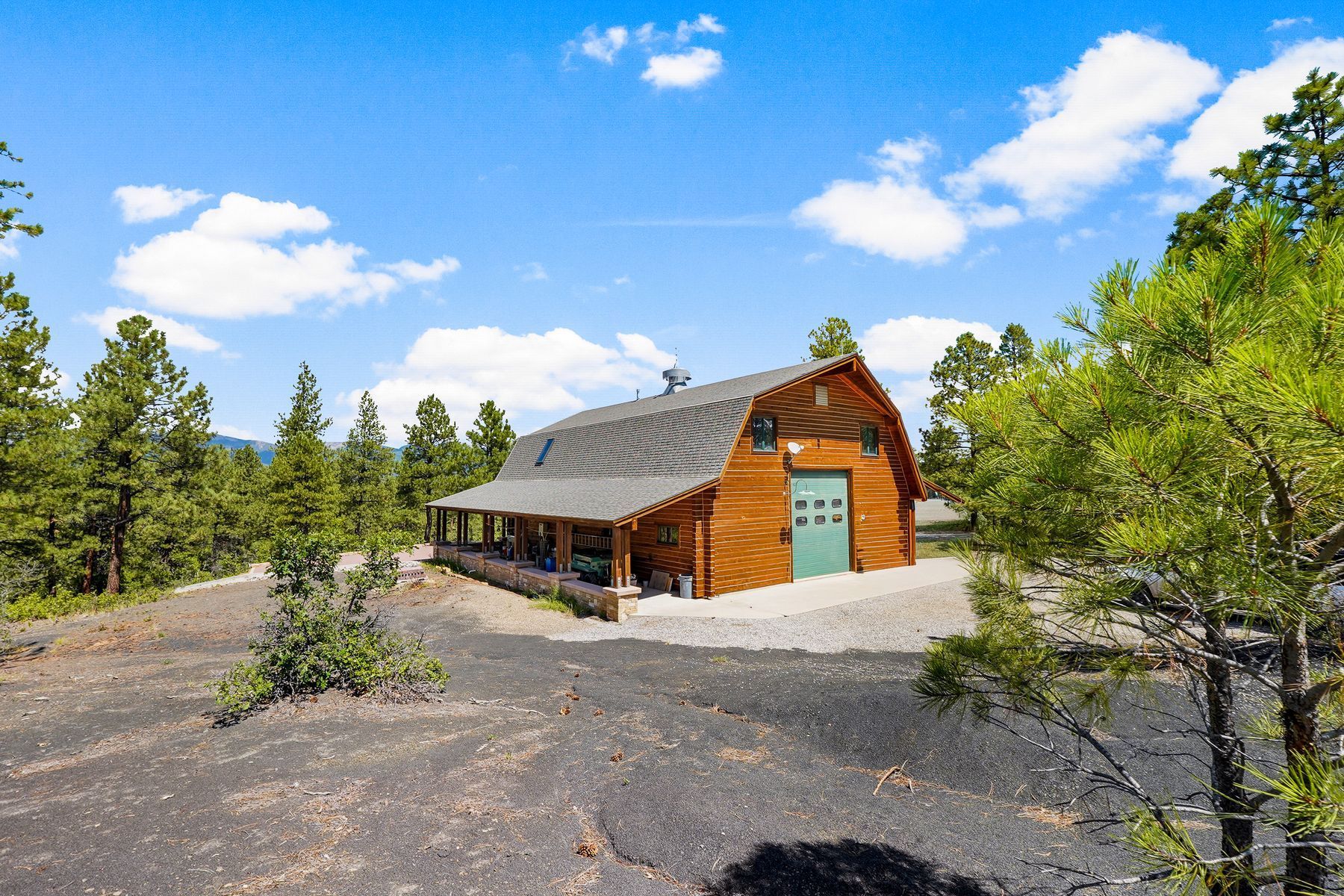  407 Corsair Ranch Place, Pagosa Springs, CO 81147 - 物件實景