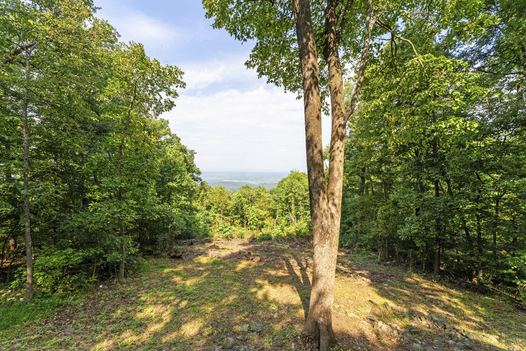  4607 Blue Mountain Road, Linden, VA, 22642 - 物件實景