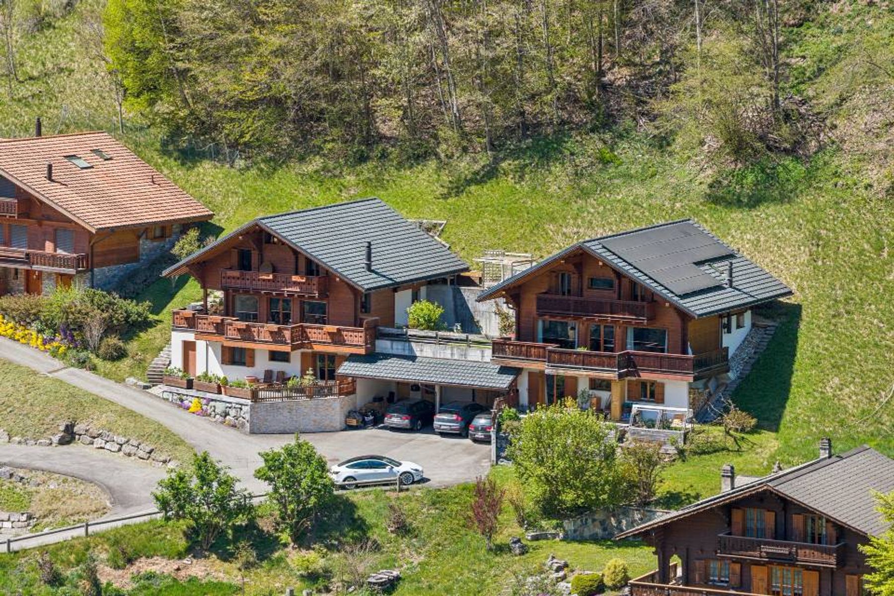  Magnificent chalet with breathtaking views of the Dents du Midi mountains - 物件實景