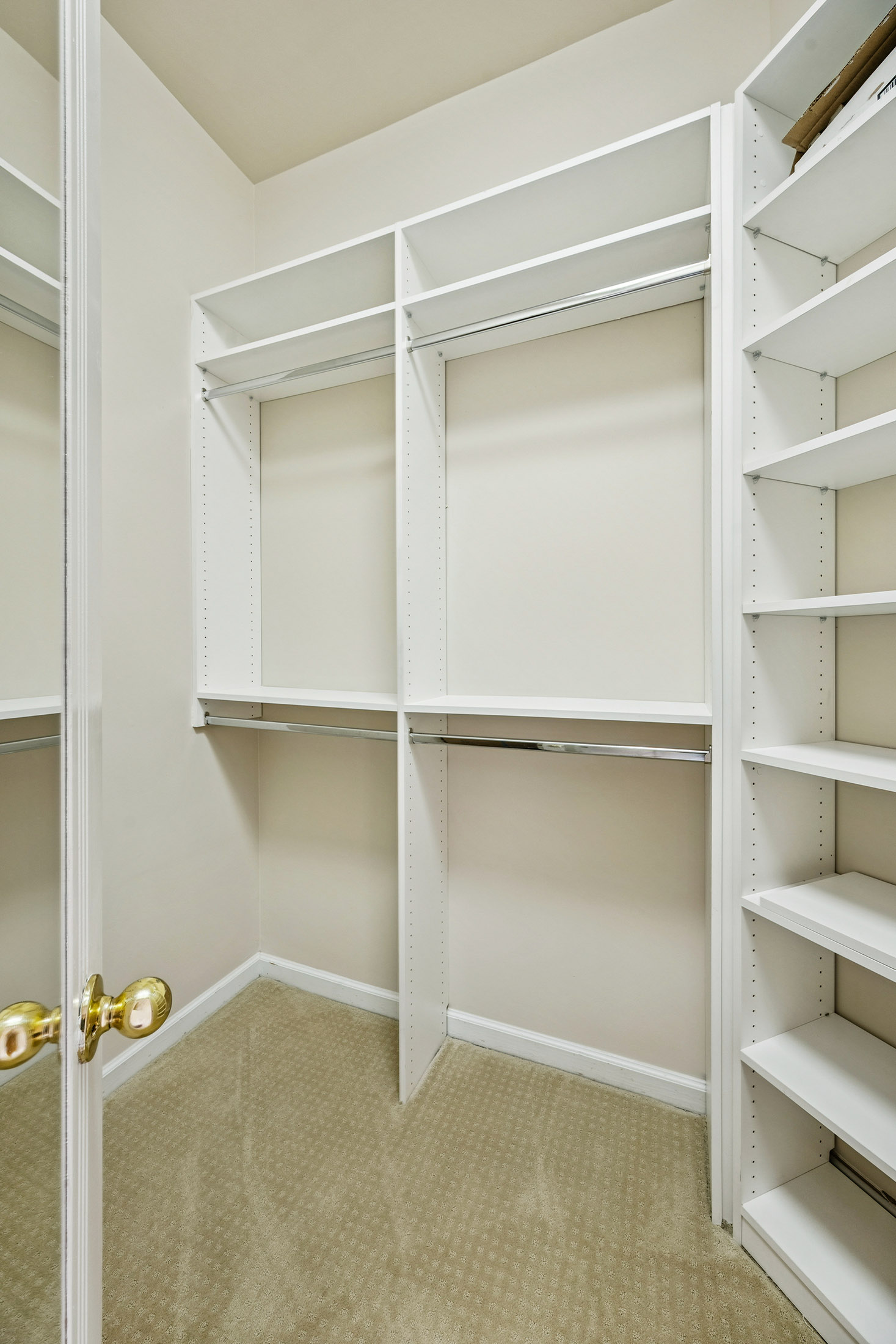  Fabulous Home in The Willows in Oakgrove - 物件實景