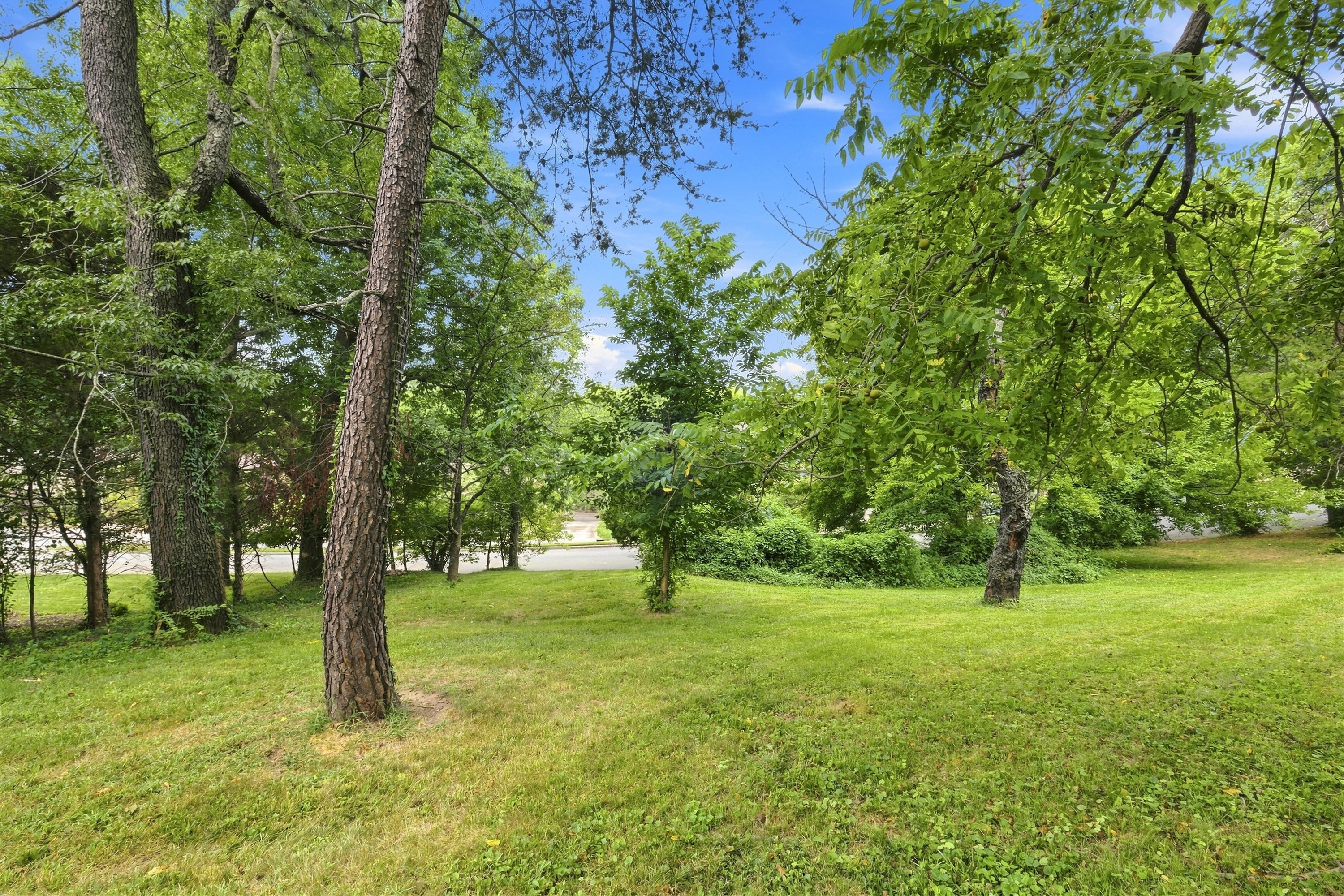  1510 Sylvan Way, Louisville, KY 40205 - 物件實景