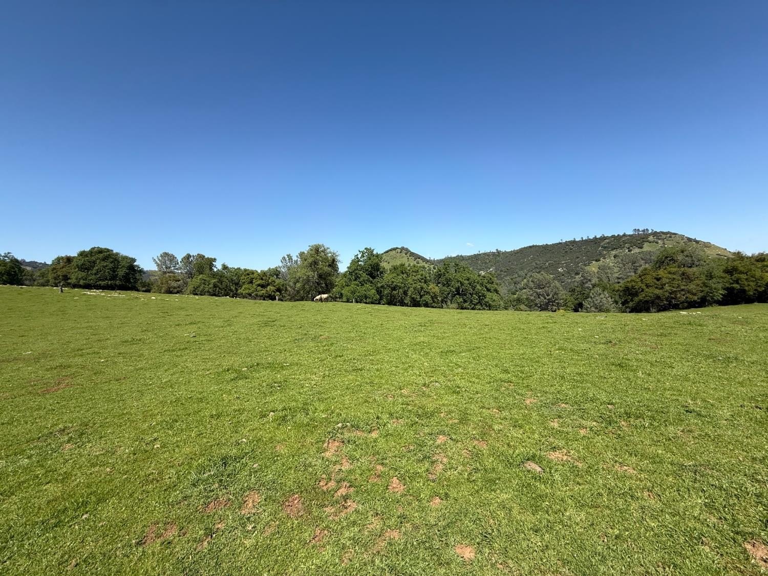 Vallecito, California, 95251, United States, ,Land,For Sale,1980651