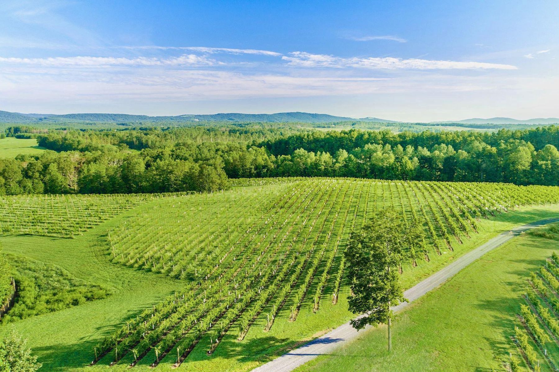  5520 Moonlight Drive, Scottsville, VA, 24590 - 物件實景