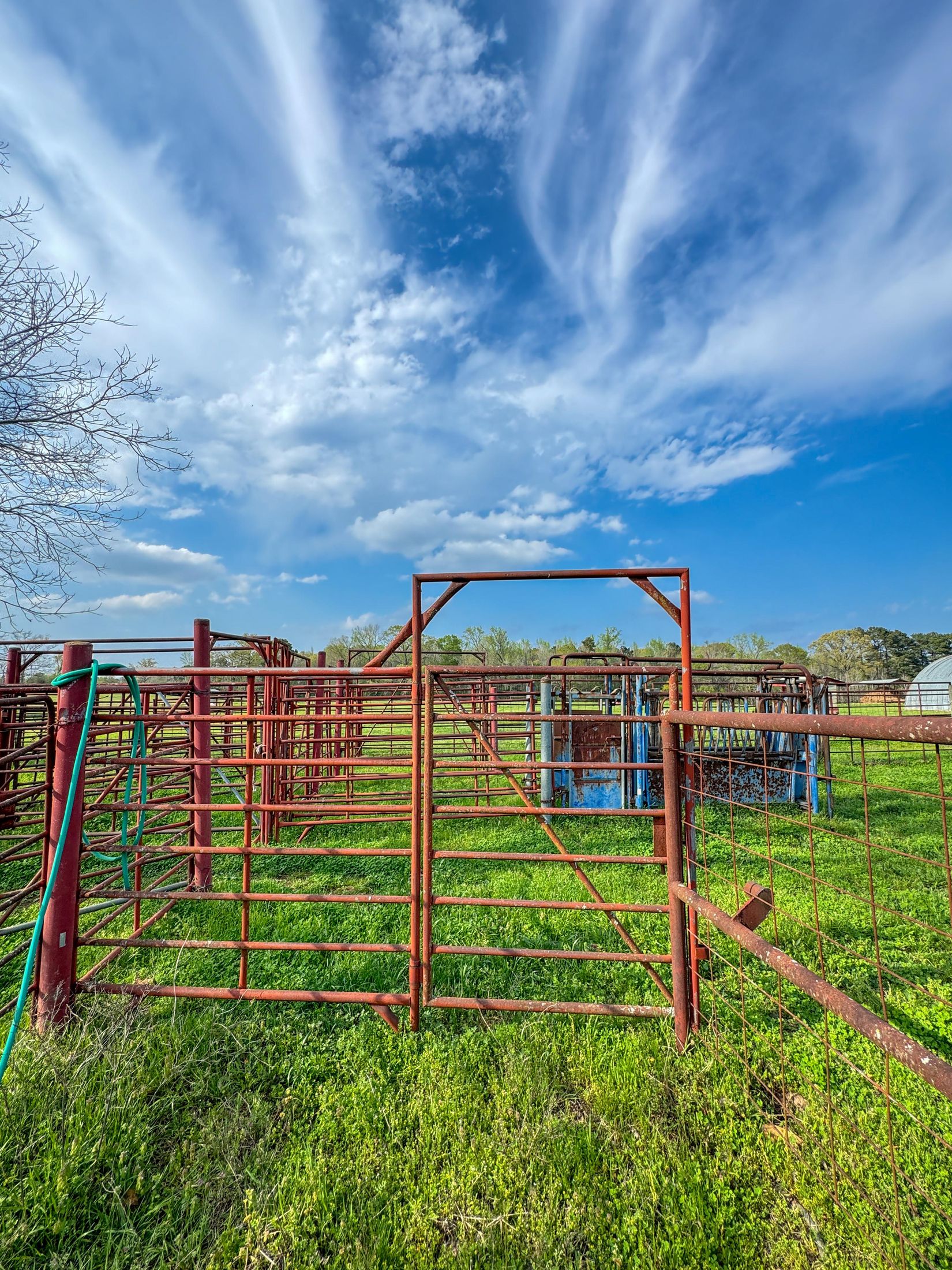 Bivins, Texas, 75555, United States, ,Residential,For Sale,1755933