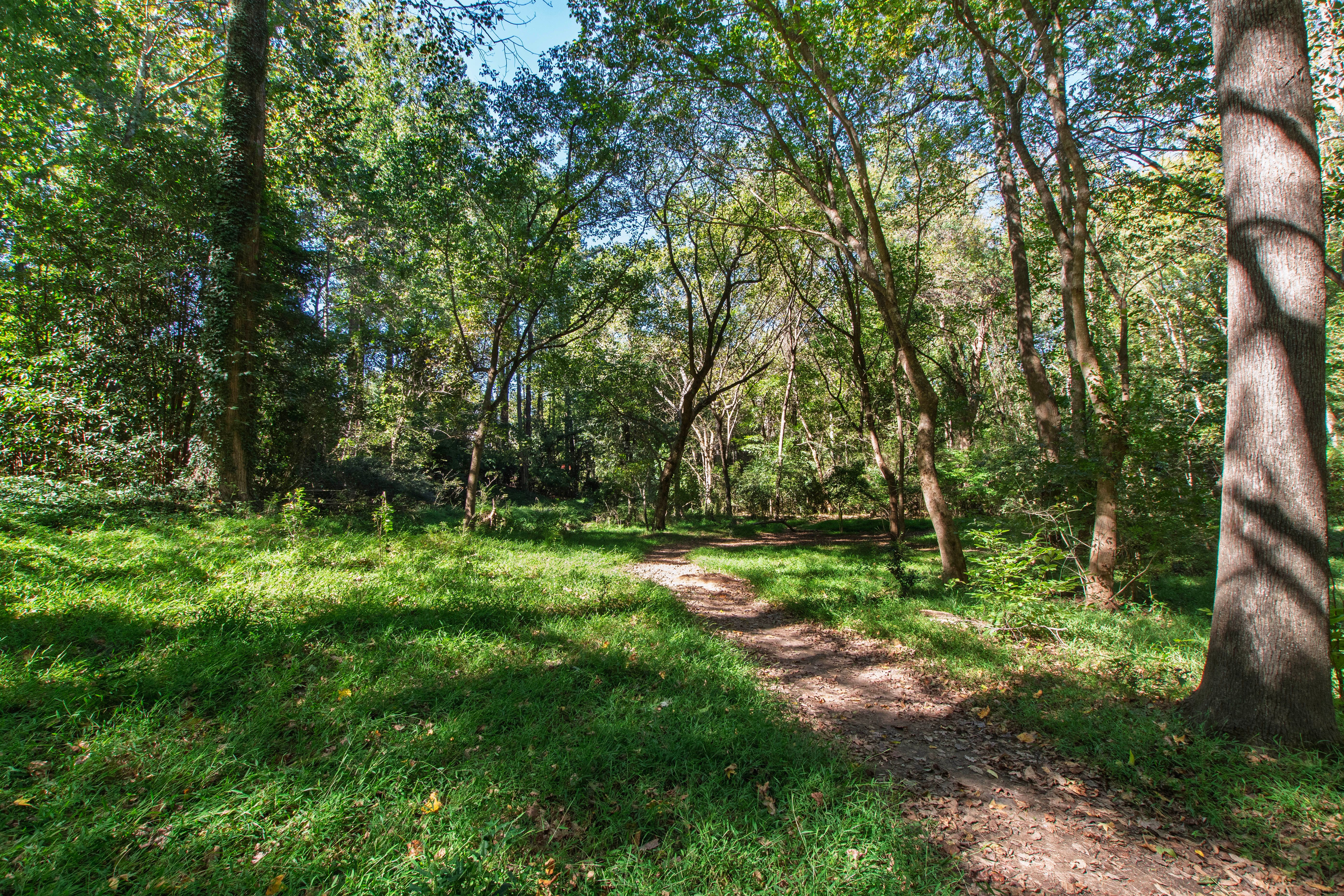  2845 Claremont Road, Raleigh, NC 27608 - 物件實景
