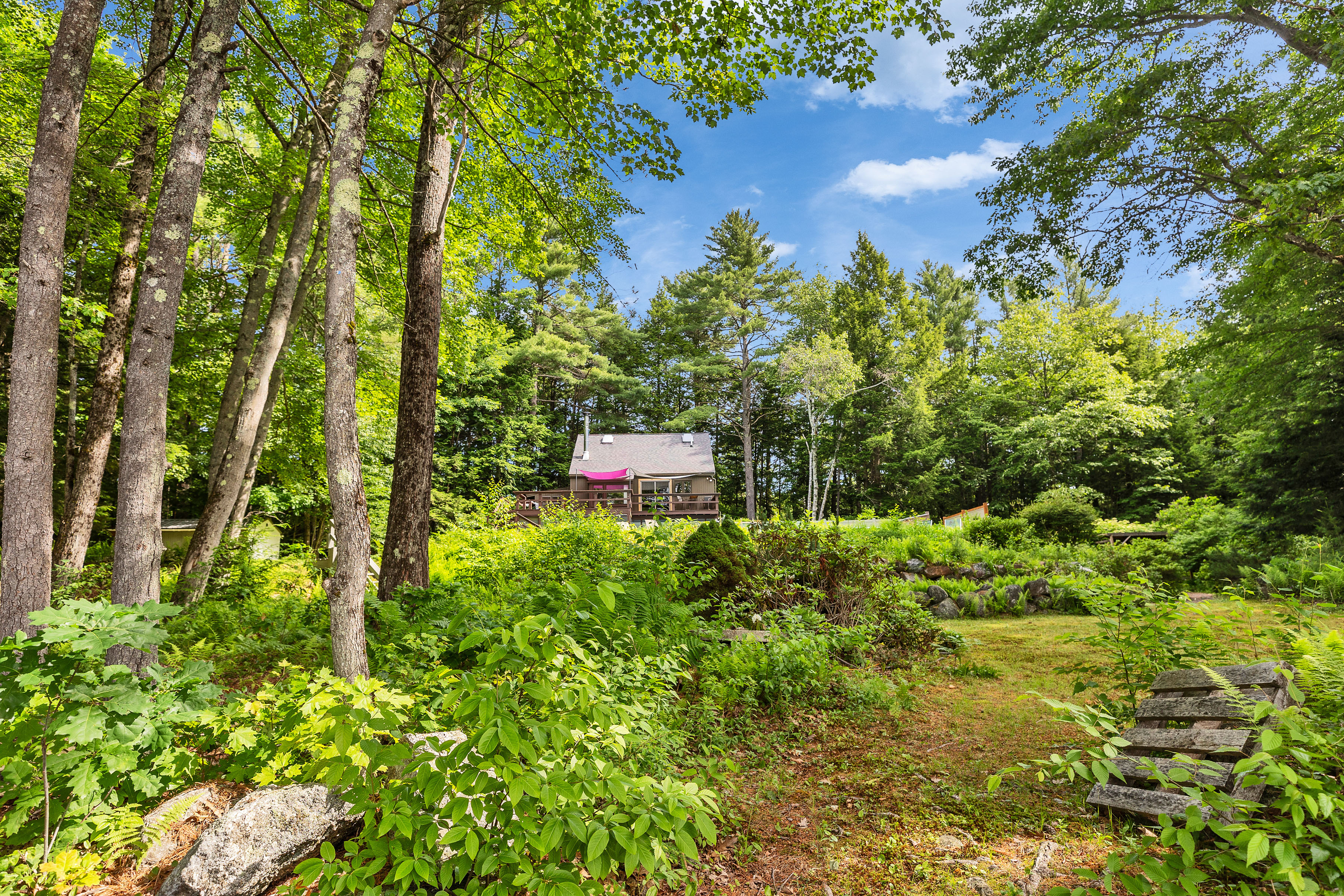  261 Forest Road - 物件實景