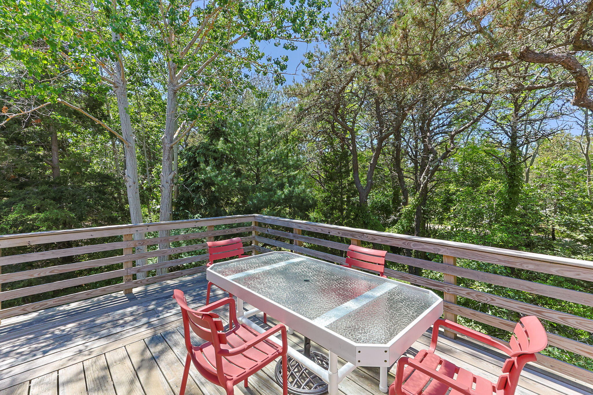  Move-In Ready Comfort on a Beautifully Wooded Acre-Plus Setting - 物件實景