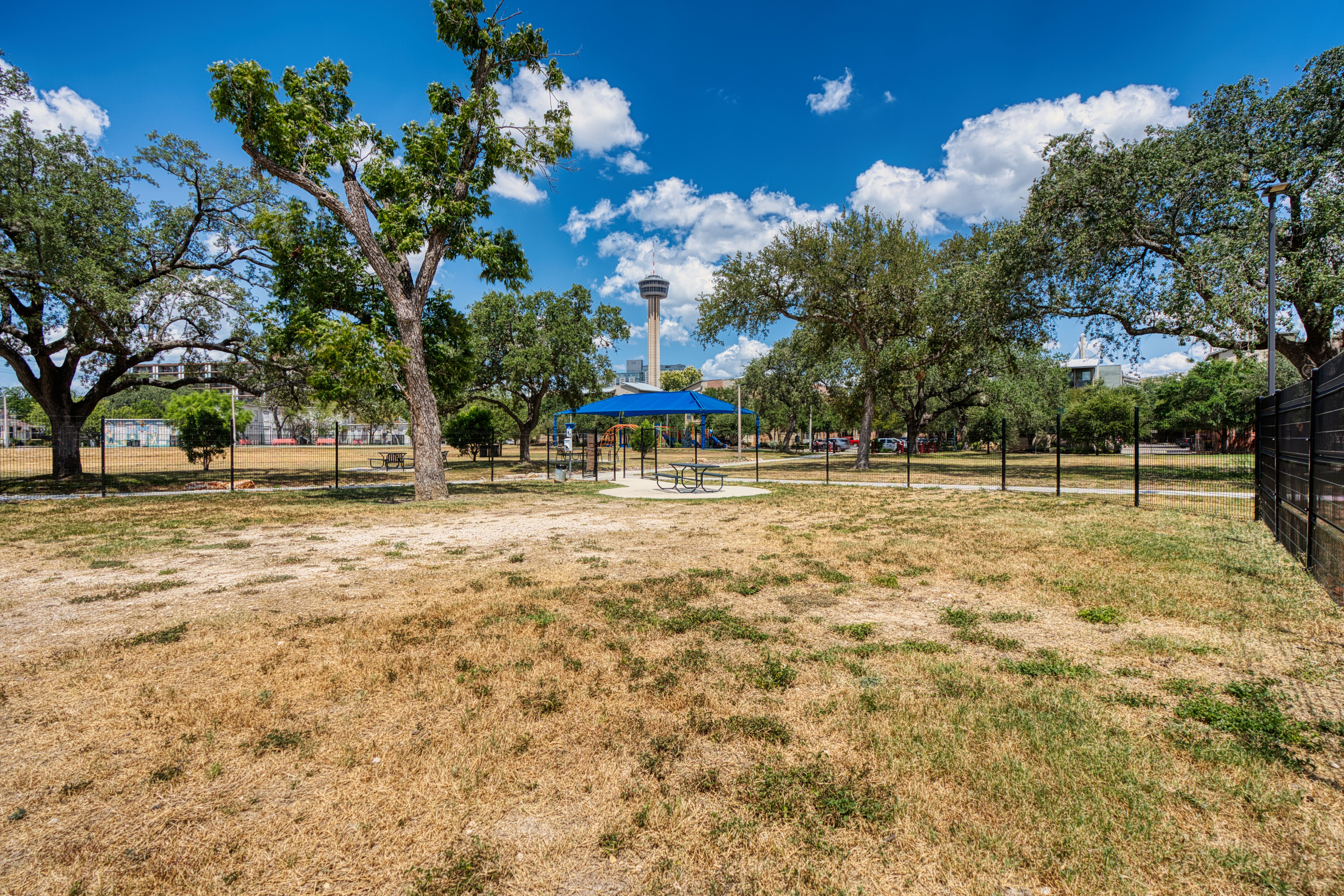  Prime Lavaca Lot - 物件實景