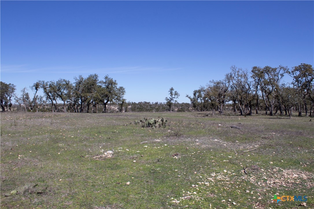 Blanco, Texas, 78606, United States, ,Land,For Sale,1877440