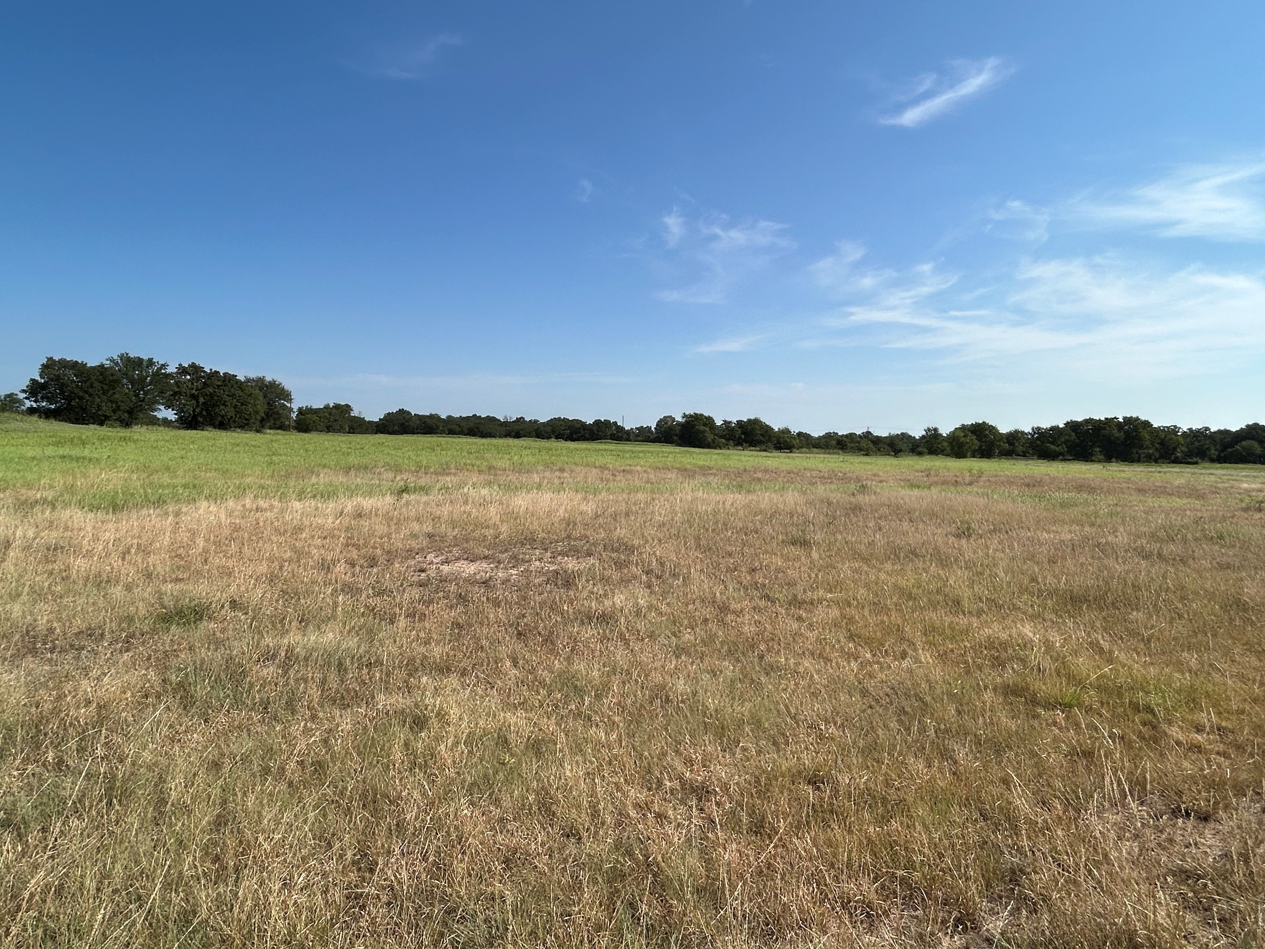 Bridgeport, Texas, 76426, United States, ,Land,For Sale,1981851