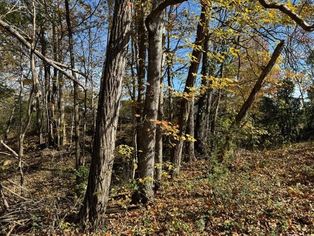 Willow Shade, Kentucky, 42166, United States, 3 Bedrooms Bedrooms, ,2 BathroomsBathrooms,Residential,For Sale,1991903