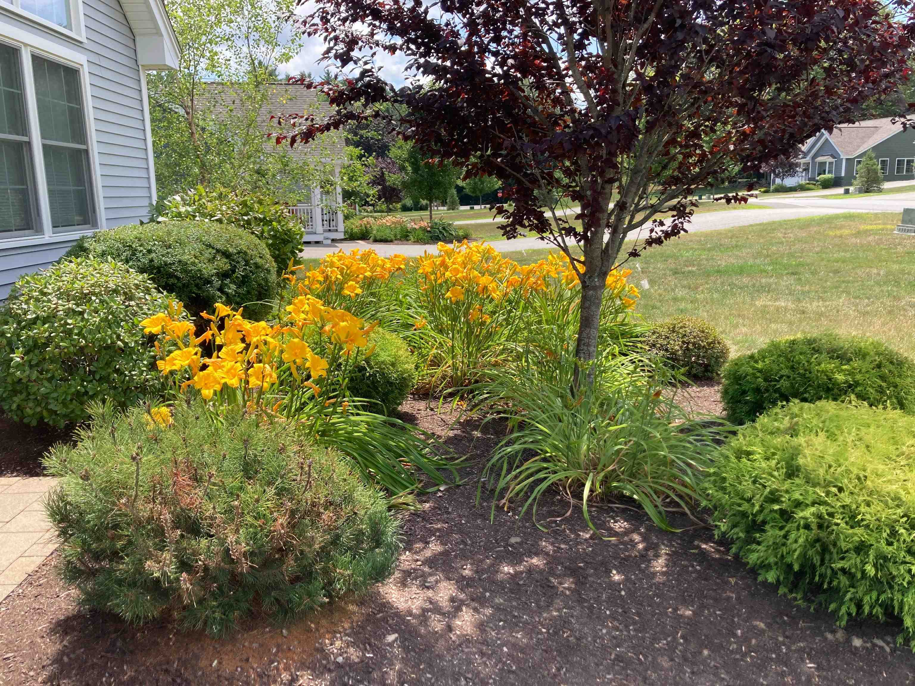 Brentwood, New Hampshire, 03833, United States, 2 Bedrooms Bedrooms, ,2 BathroomsBathrooms,Residential,For Sale,1905926