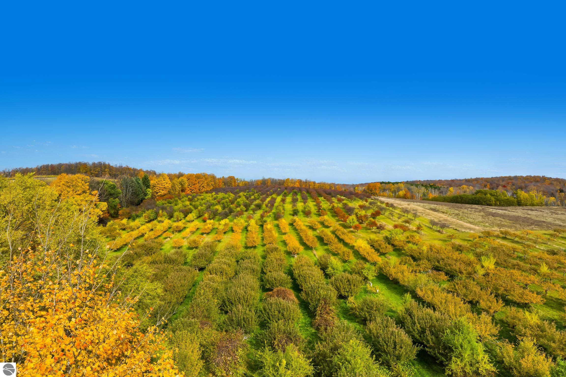 Suttons Bay, Michigan, 49682, United States, ,Land,For Sale,1990324