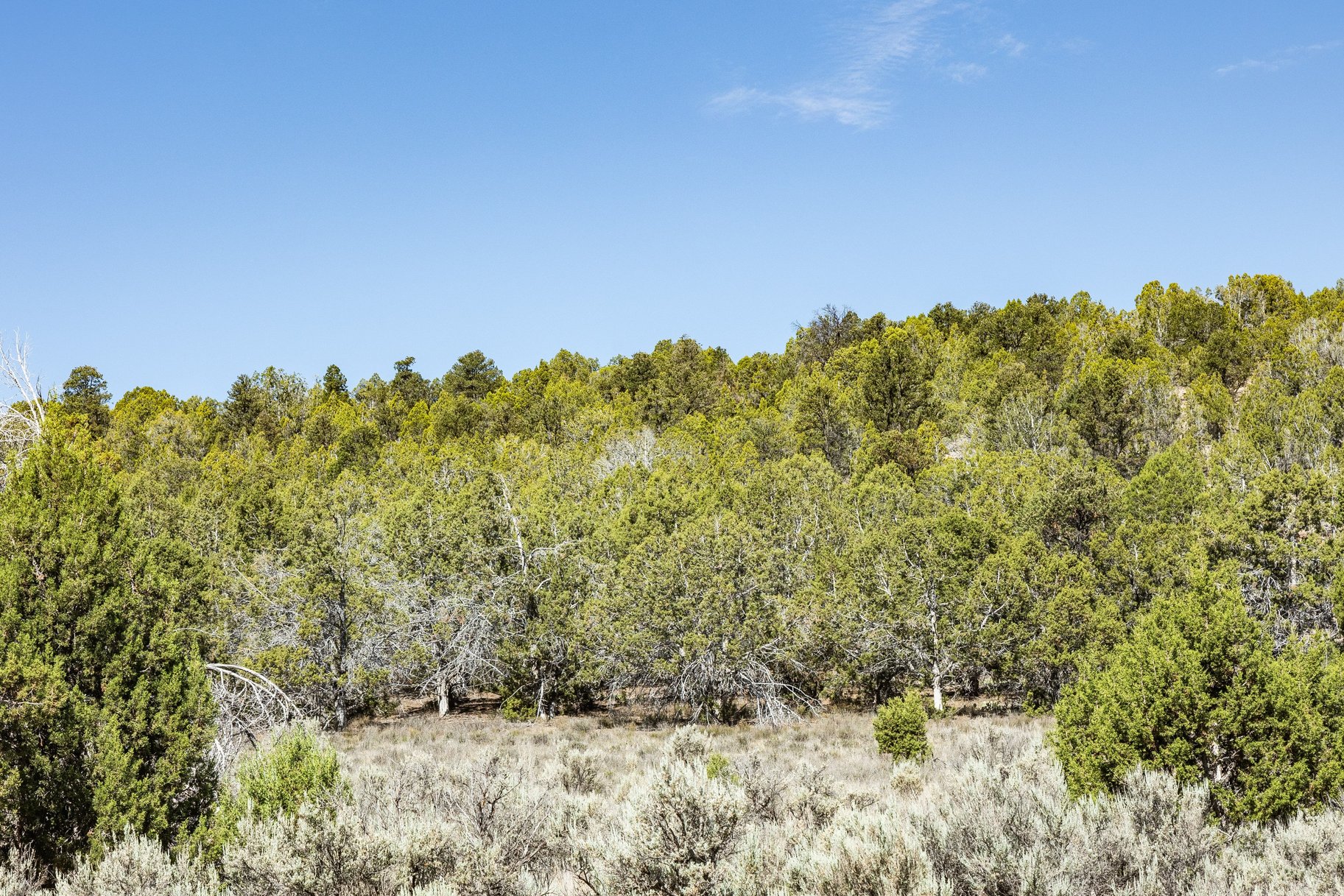  Mountain Living  STR Approved  1.01 Acres - 物件實景