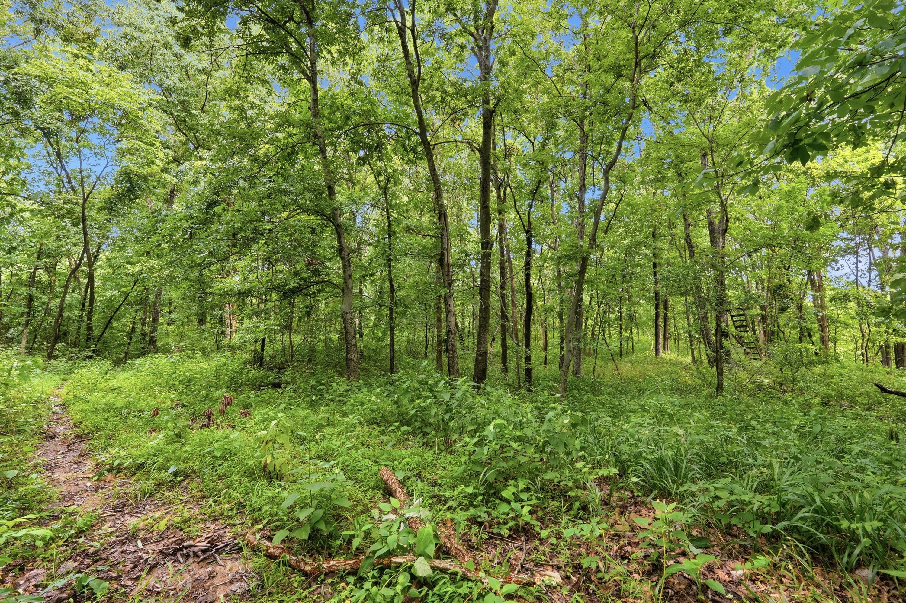  3850 Smith Lane, La Grange, KY 40031 - 物件實景