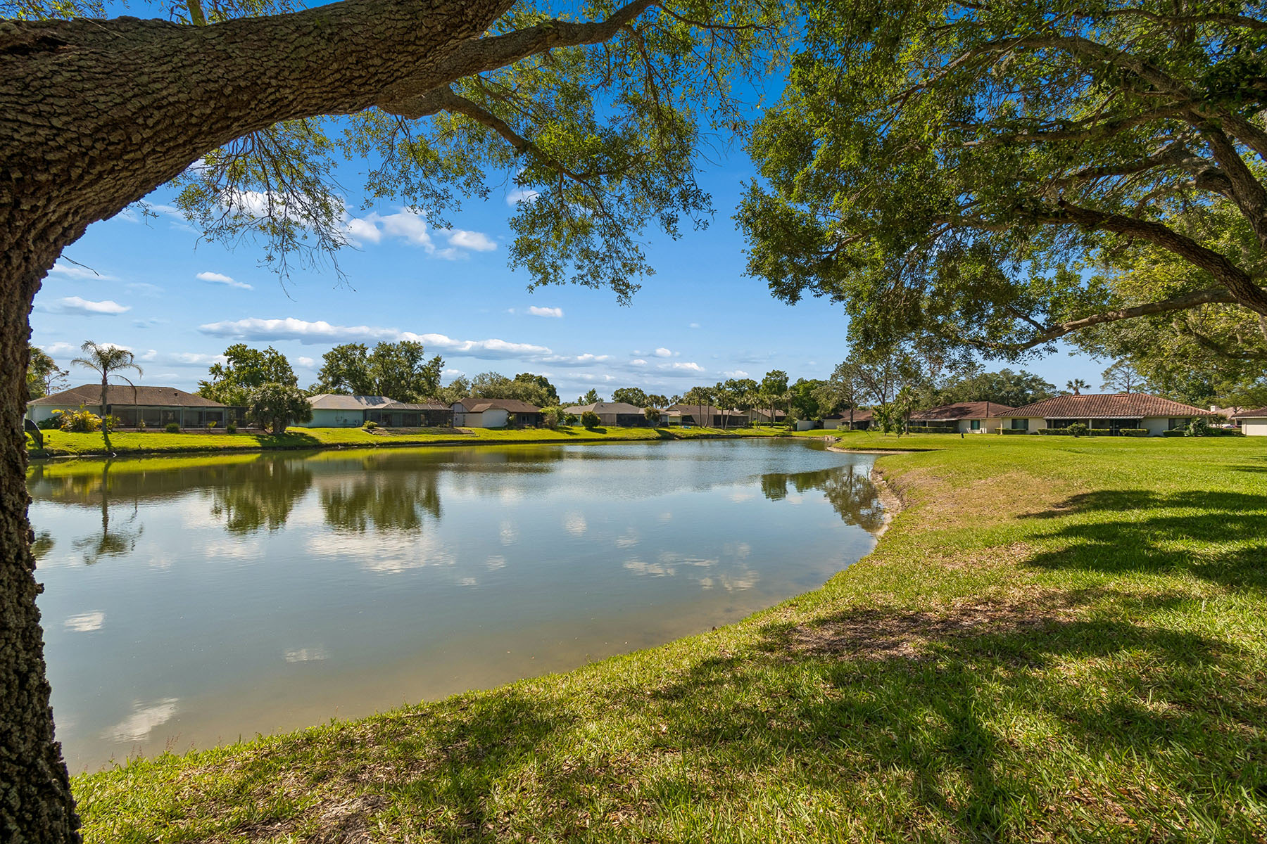  TAMPA - 物件實景