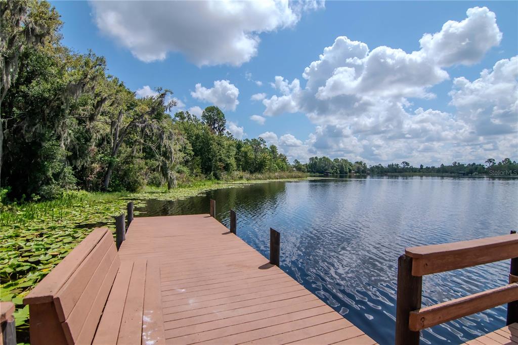 Land O Lakes, Florida, 34637, United States, 4 Bedrooms Bedrooms, ,3 BathroomsBathrooms,Residential,For Sale,1925583