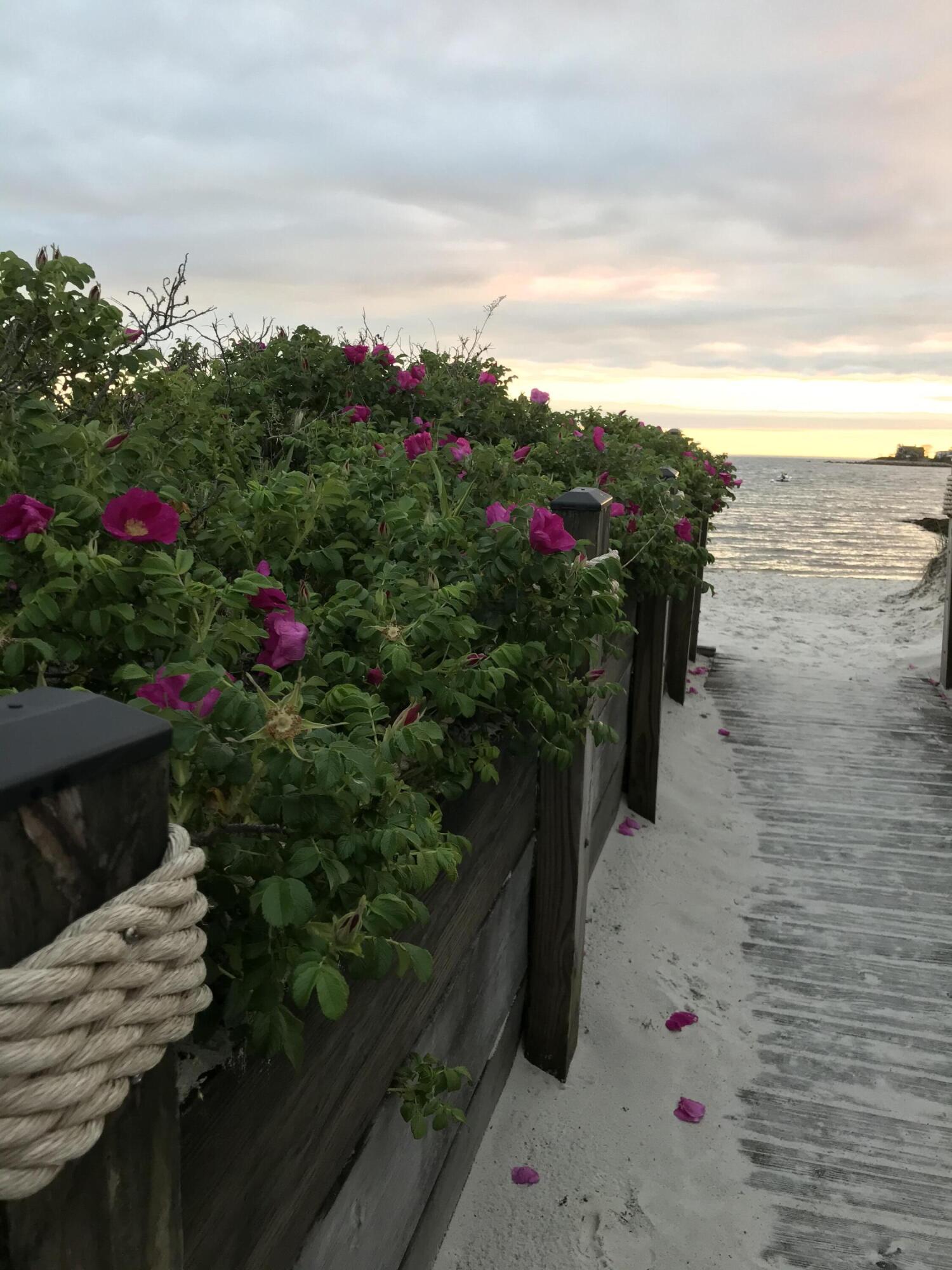  153 Alder Lane, North Falmouth, MA, 02556 - 物件實景