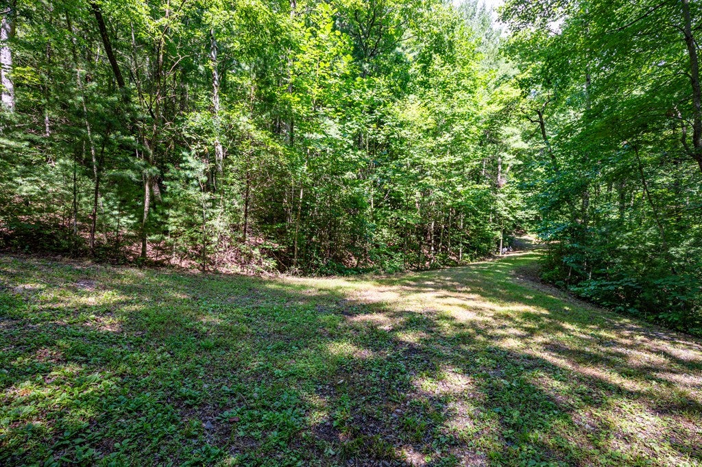 Cherry Log, Georgia, 30522, United States, ,Land,For Sale,1858995