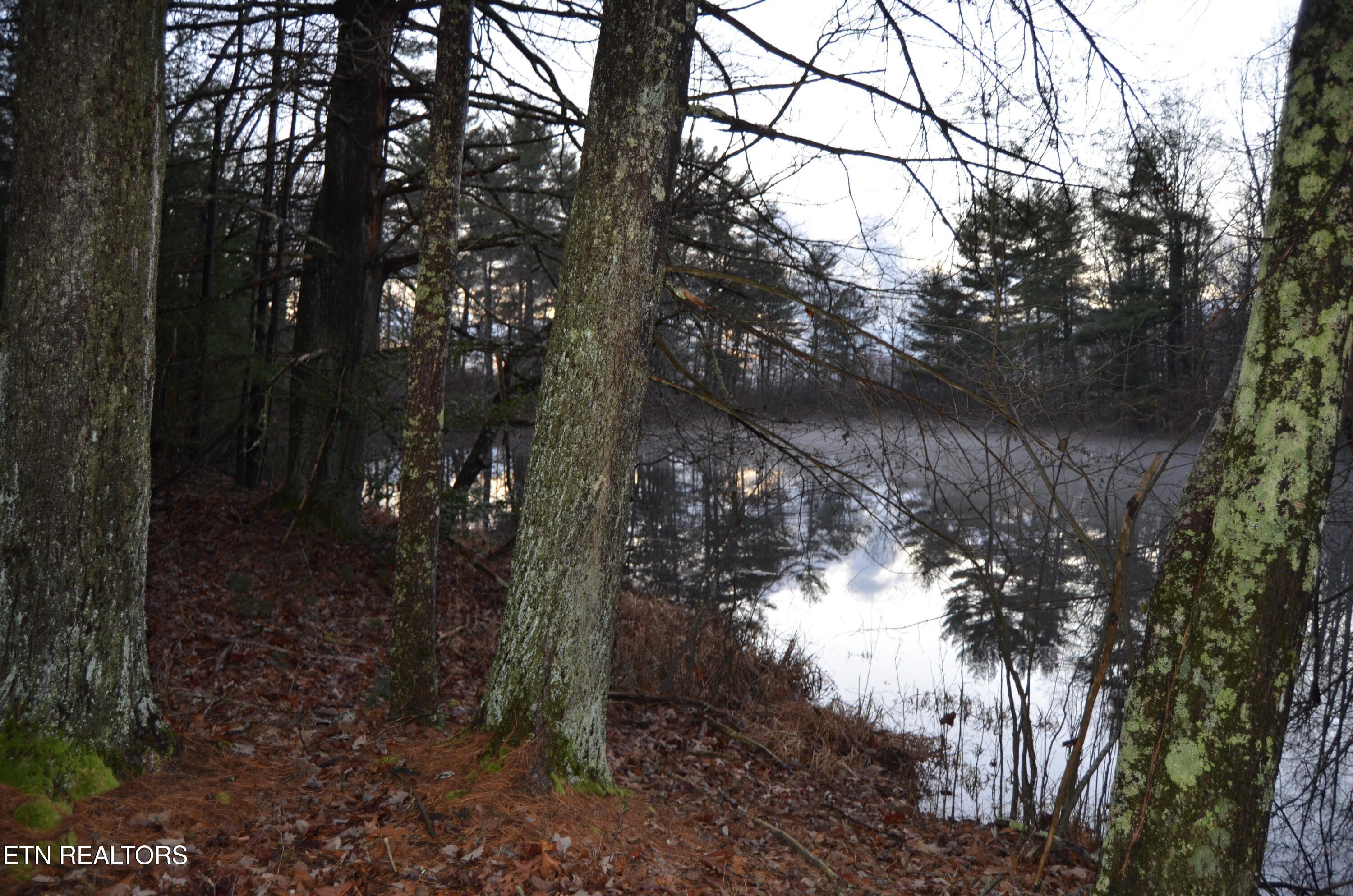 Crossville, Tennessee, 38555, United States, ,Land,For Sale,1983294