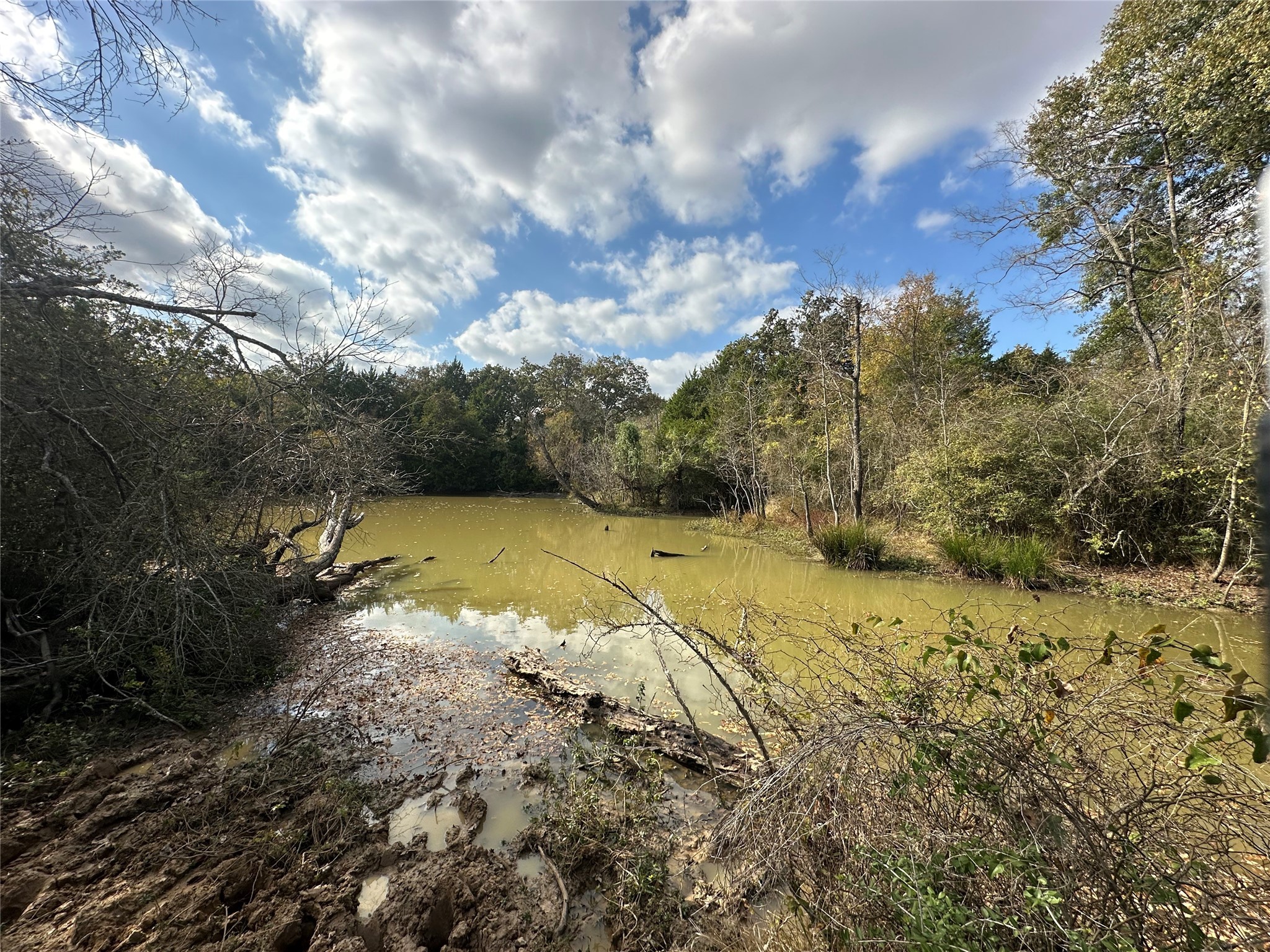 Thornton, Texas, 76687, United States, ,Land,For Sale,1995546