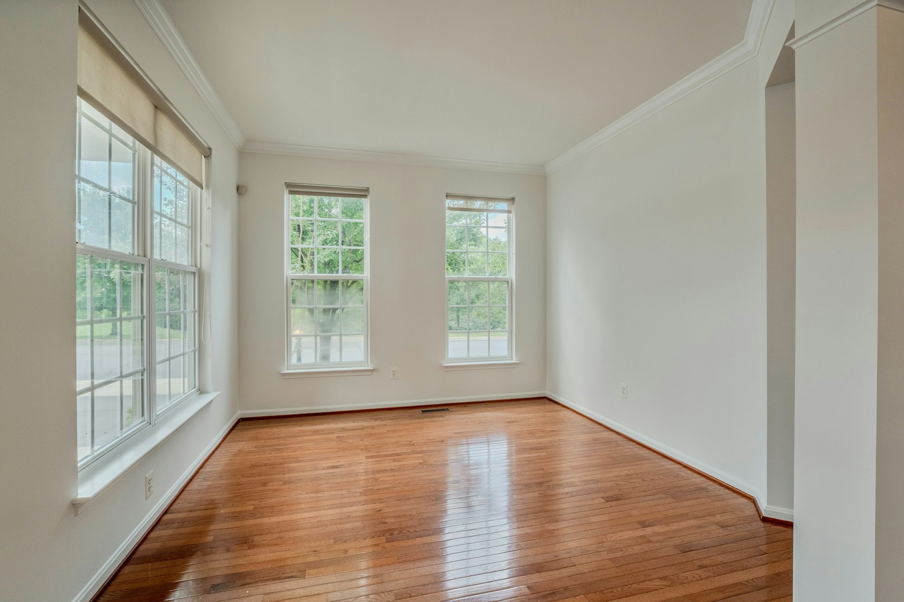  13544 Arcadian Drive, Leesburg, VA, 20176 - 物件實景