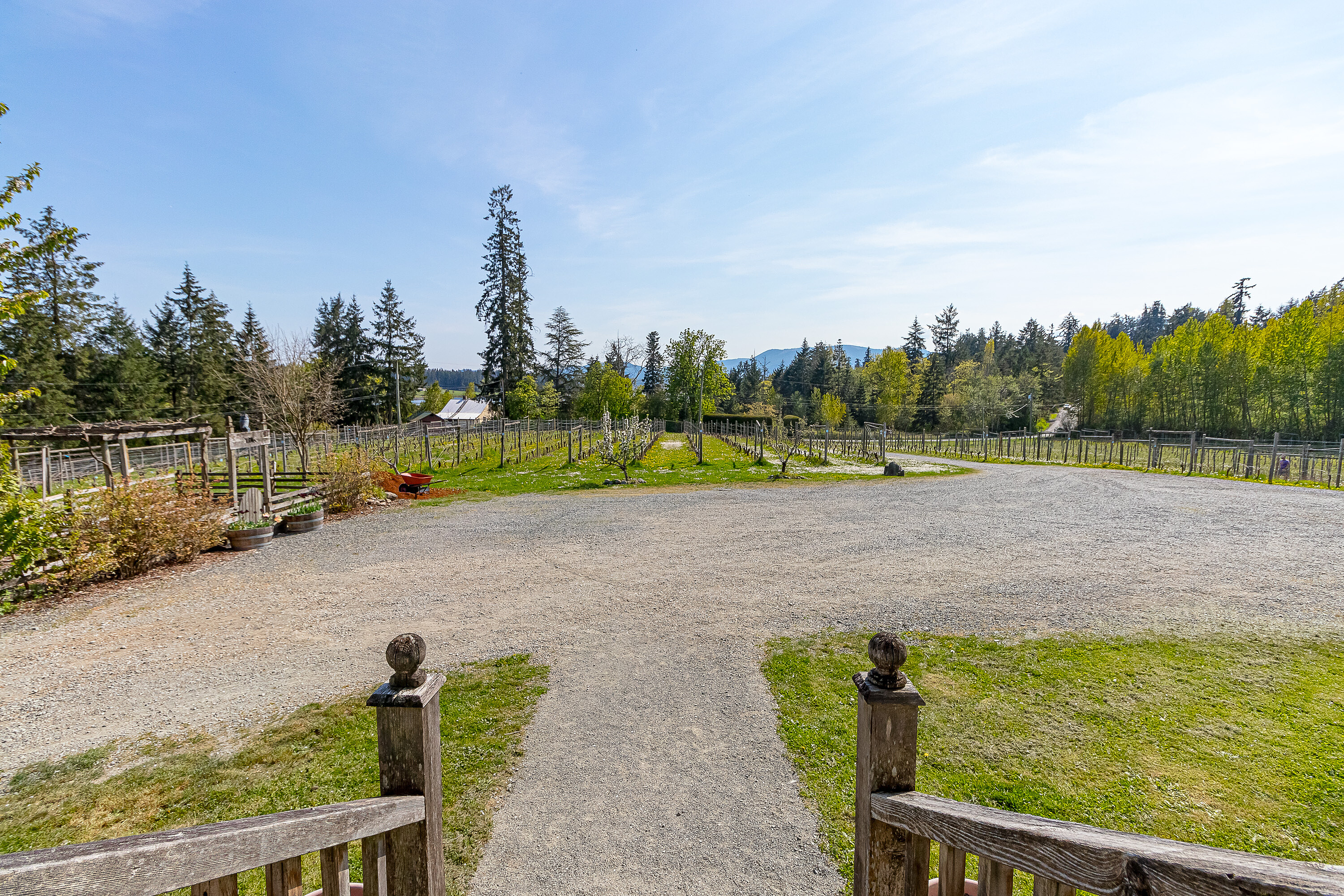  Welcome to Emandare Vineyard - 物件實景