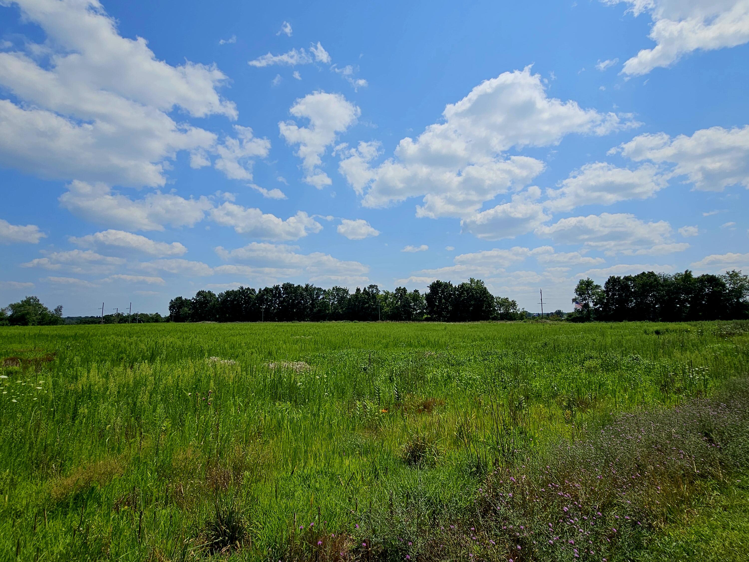 Jonesville, Michigan, 49250, United States, ,Land,For Sale,1975283
