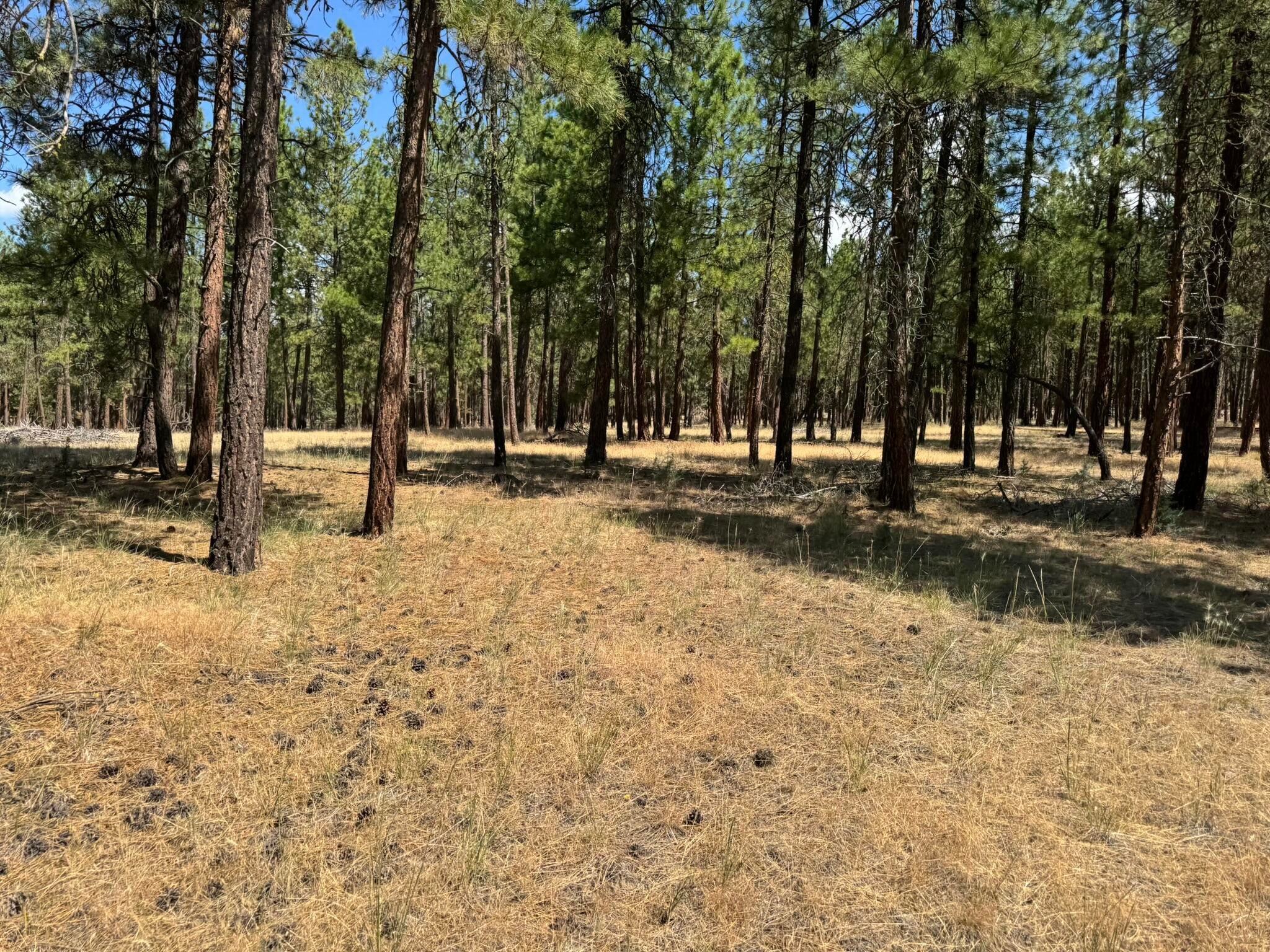 Bonanza, Oregon, 97623, United States, 3 Bedrooms Bedrooms, ,2 BathroomsBathrooms,Residential,For Sale,1903275
