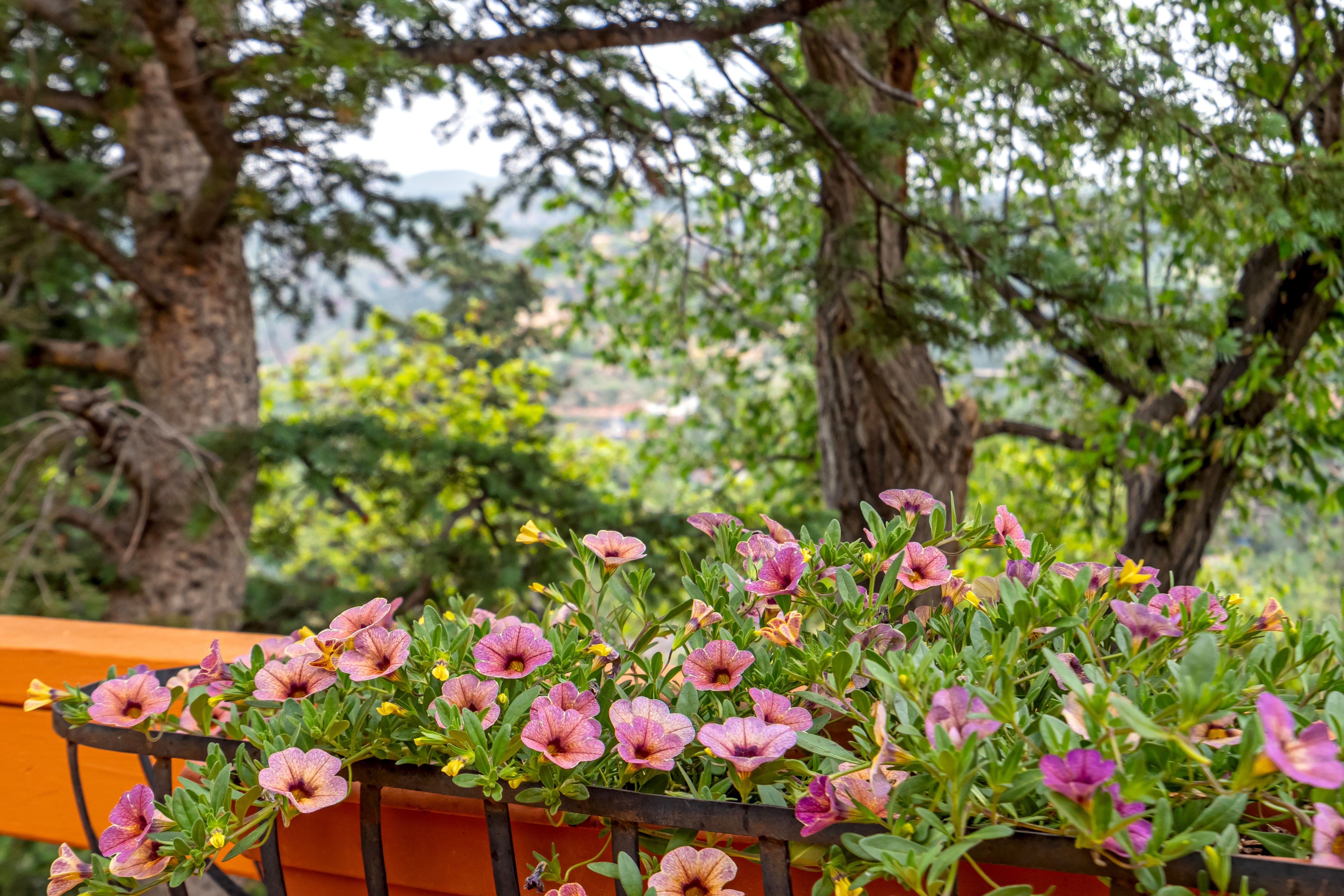  Extraordinary Mountain Retreat Perched Above the Heart of Manitou Springs - 物件實景